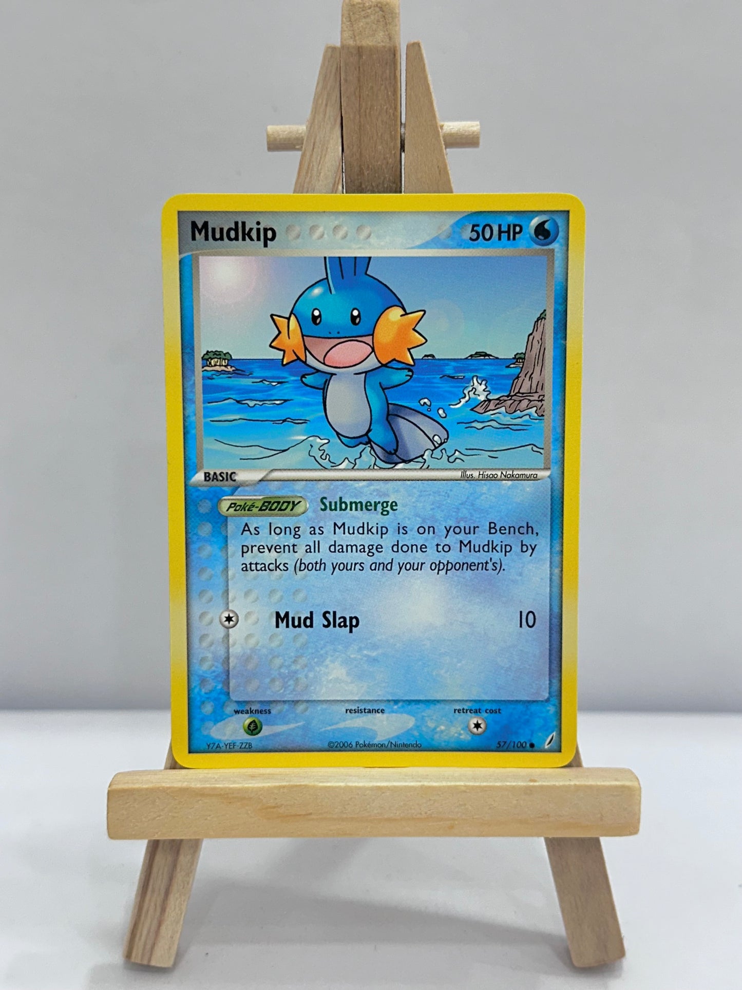 Mudkip (Ex Crystal Guardians)