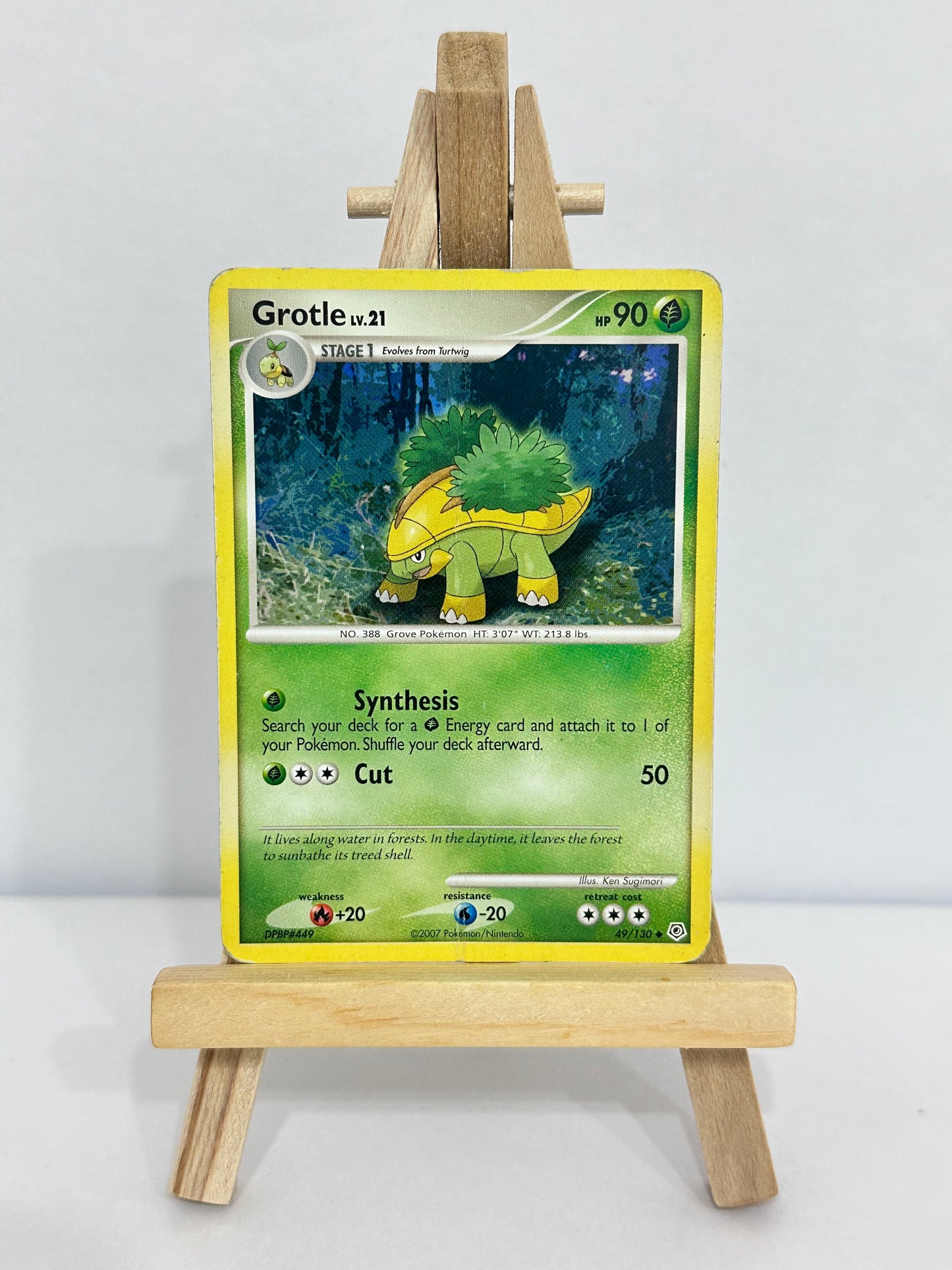 Grotle Lv 21