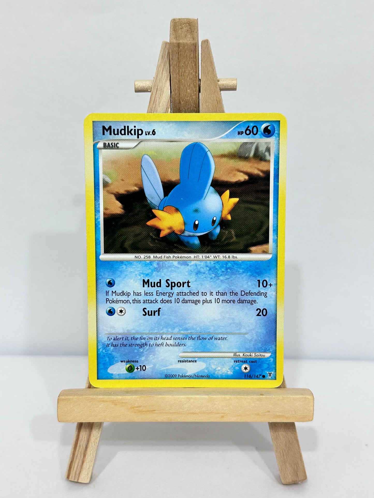 Mudkip Lv 6 (Supreme Victors)