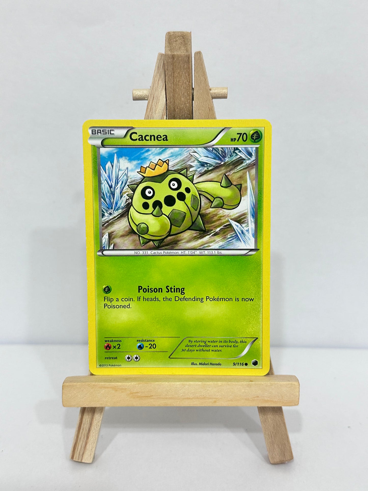 Cacnea (Plasma Freeze)