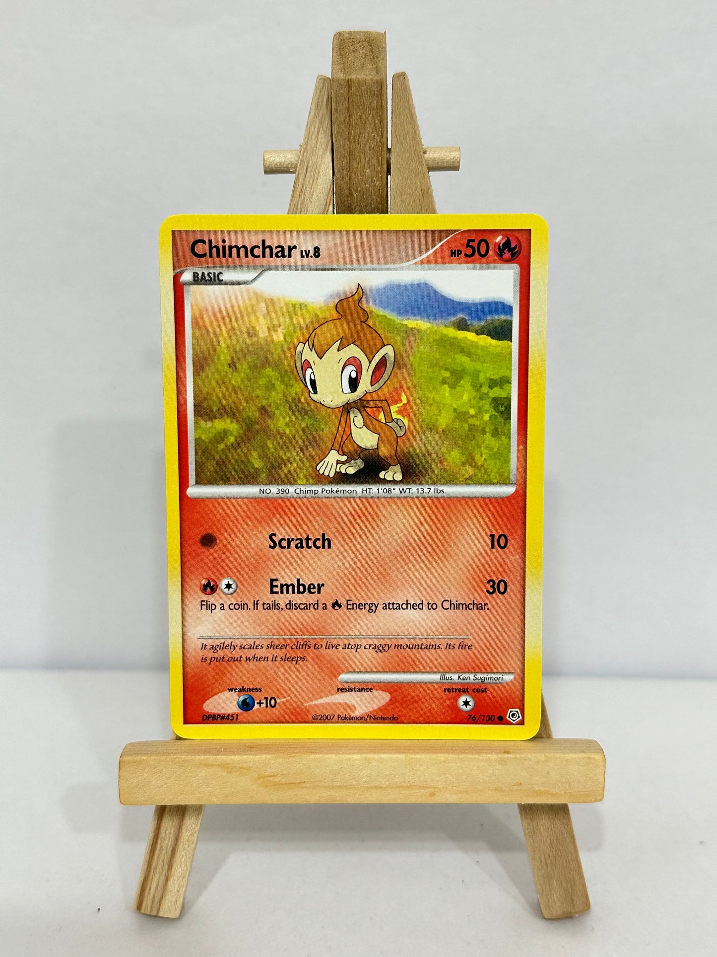 Chimchar Lv 8