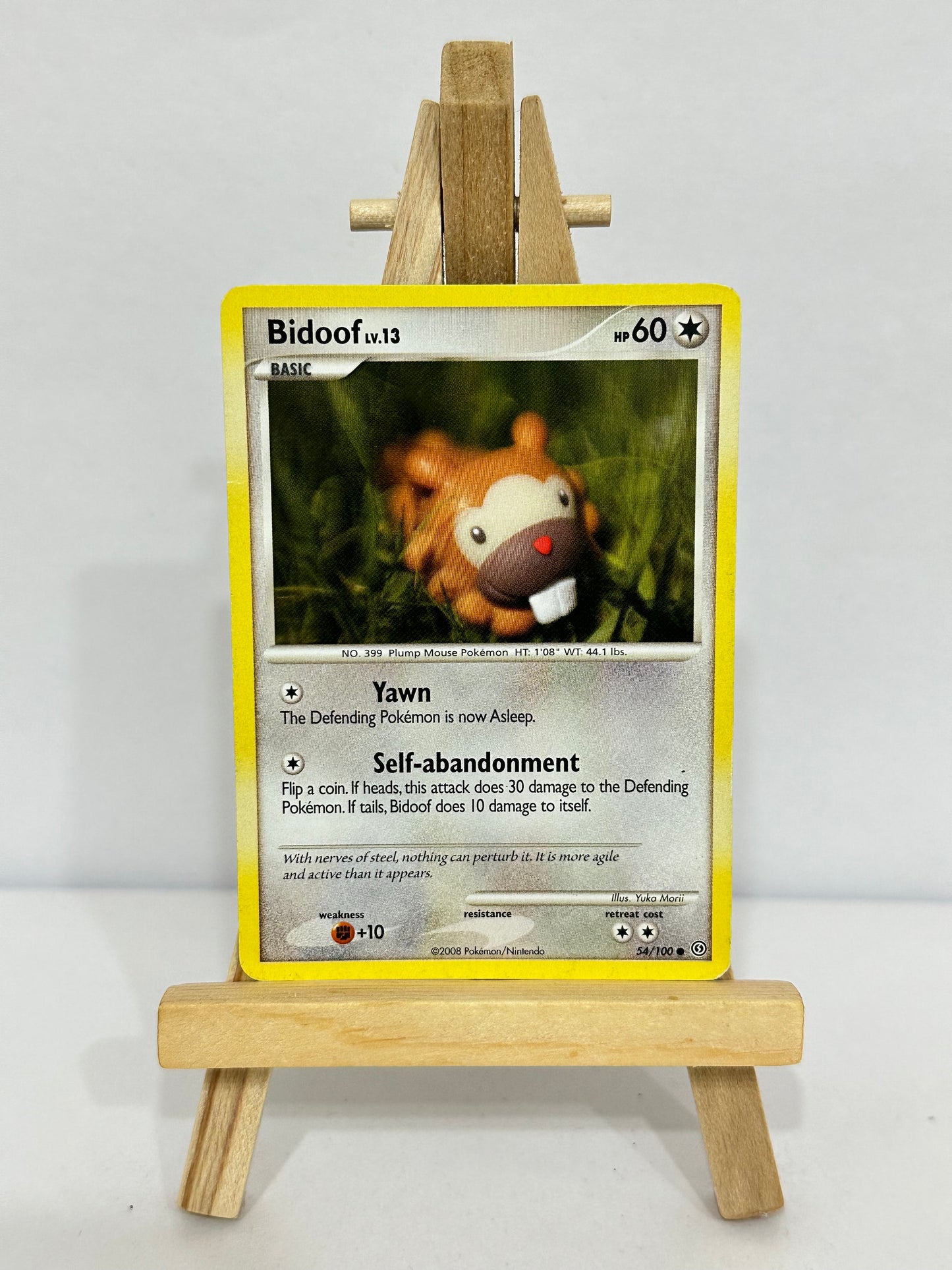 Bidoof Lv 13