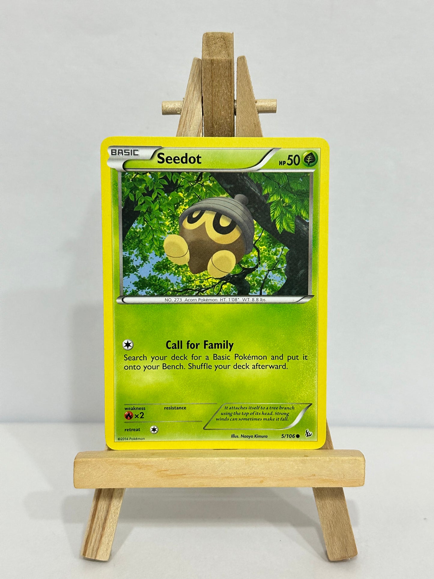 Seedot (Flashfire)