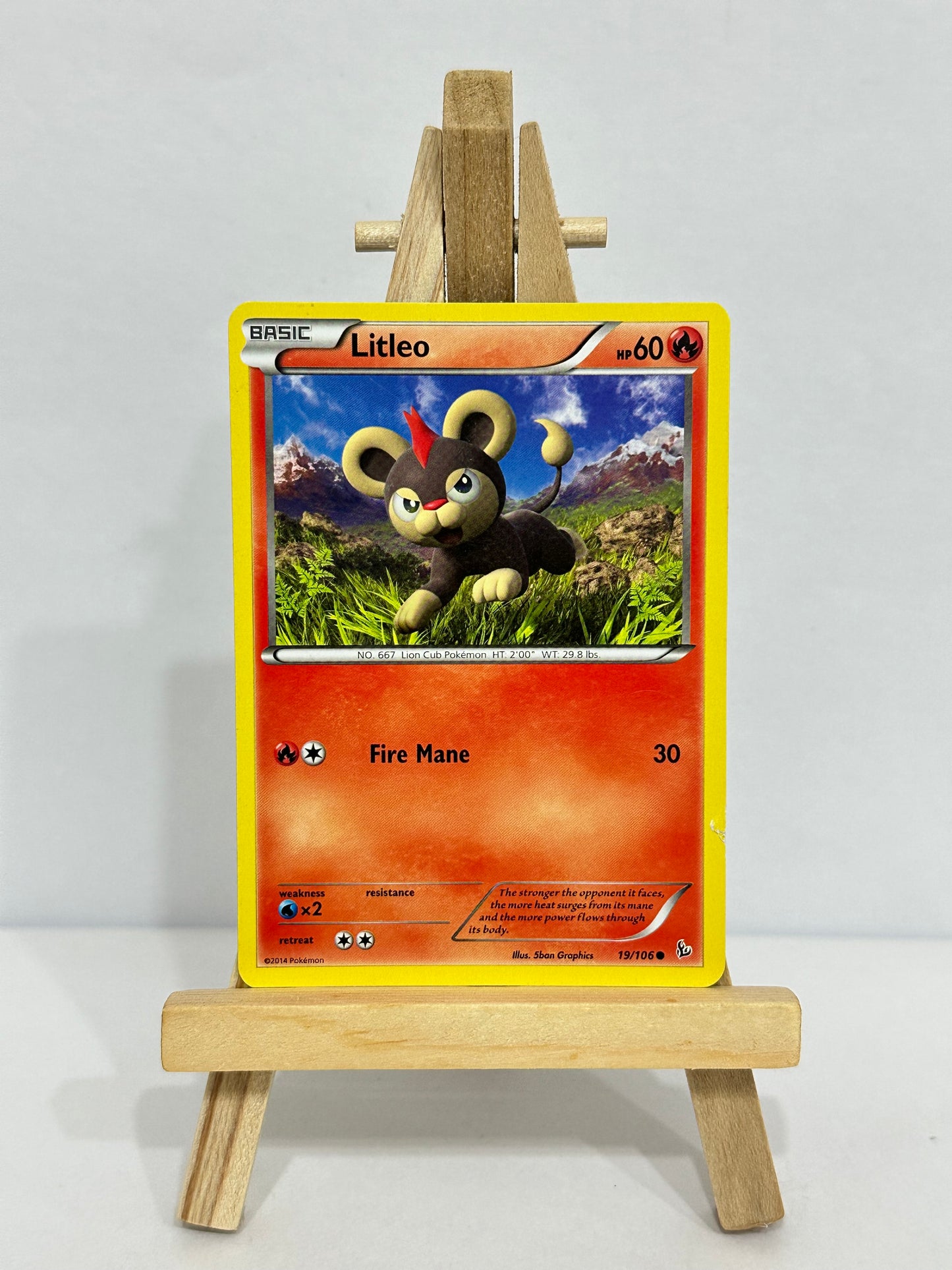 Litleo 19/106 (Flashfire)