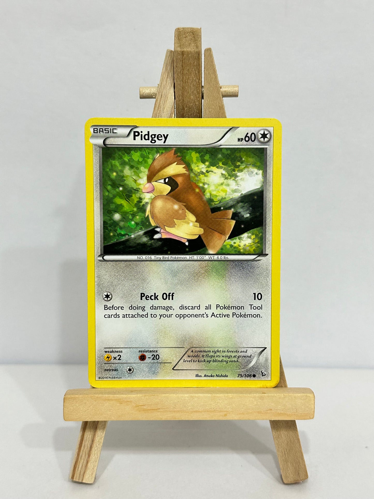 Pidgey (Flashfire)