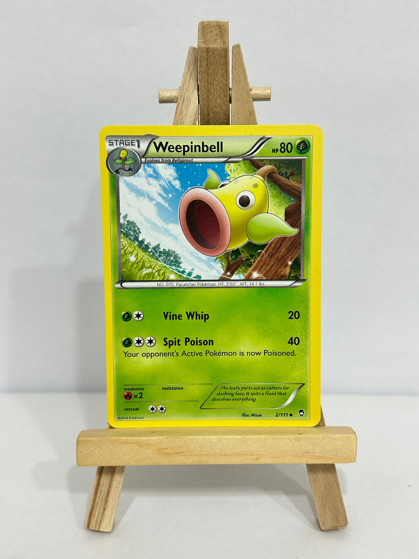 Weepinbell (Furious Fists)
