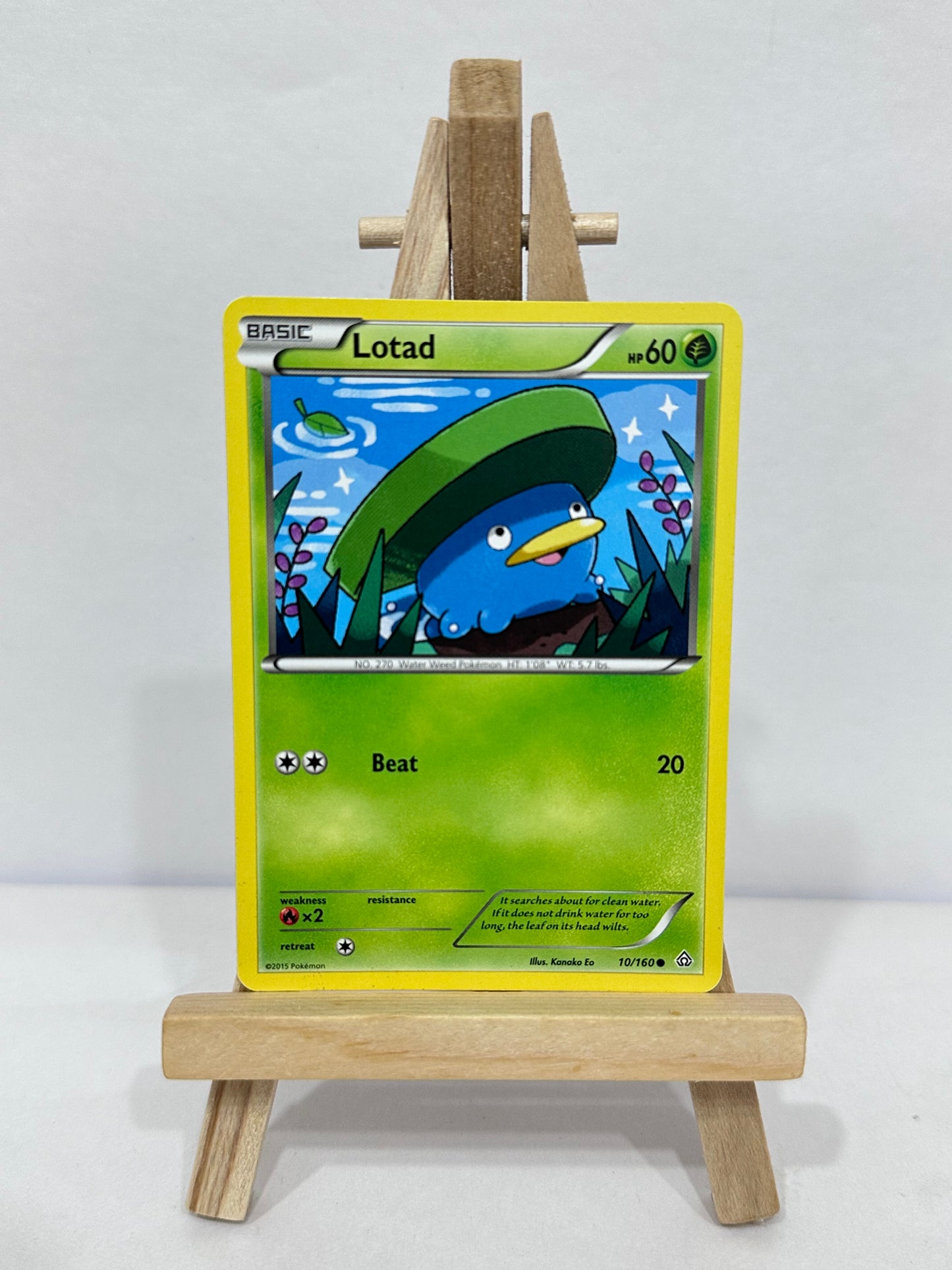 Lotad (Primal Clash)
