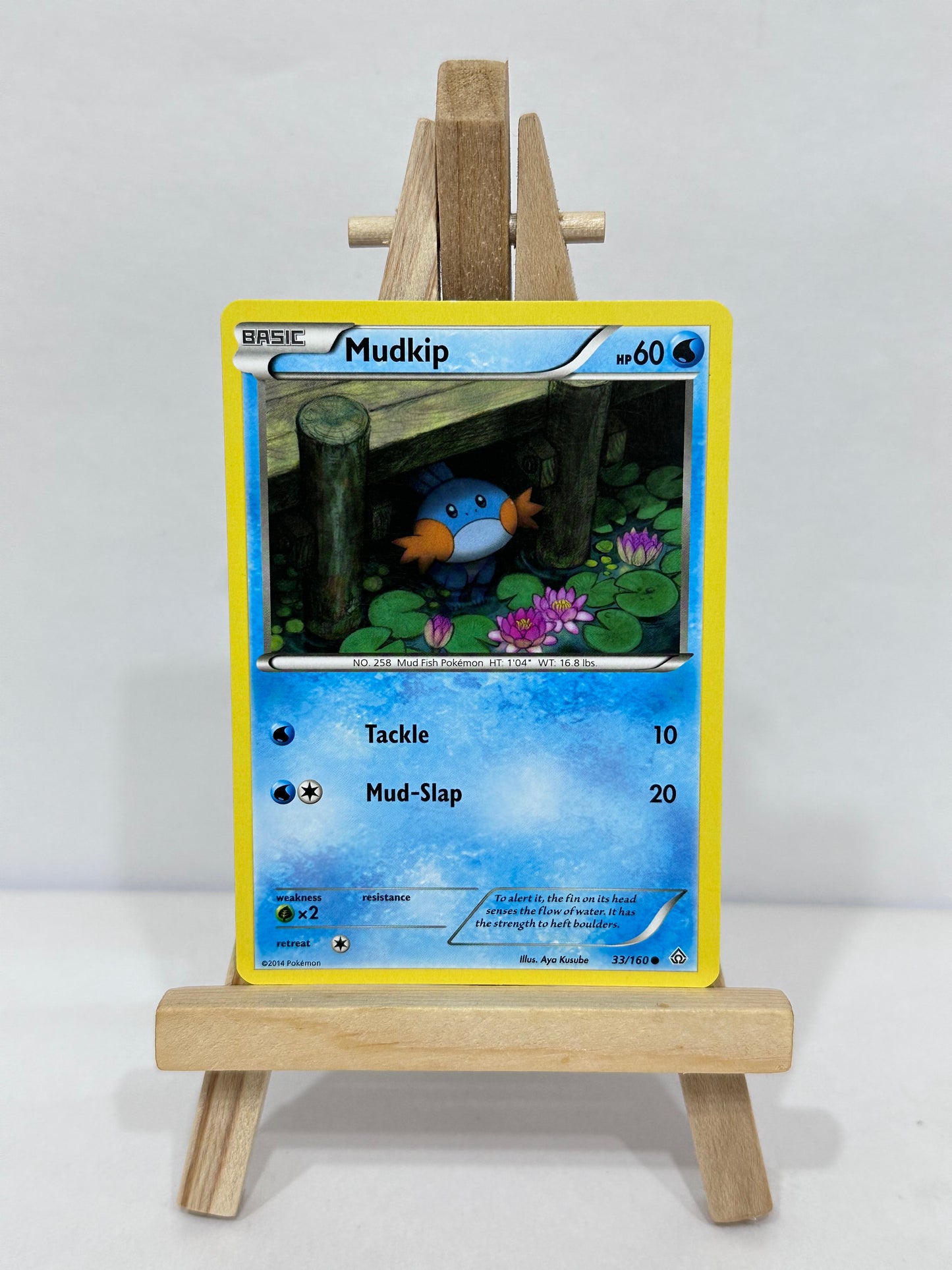 Mudkip (Primal Clash)