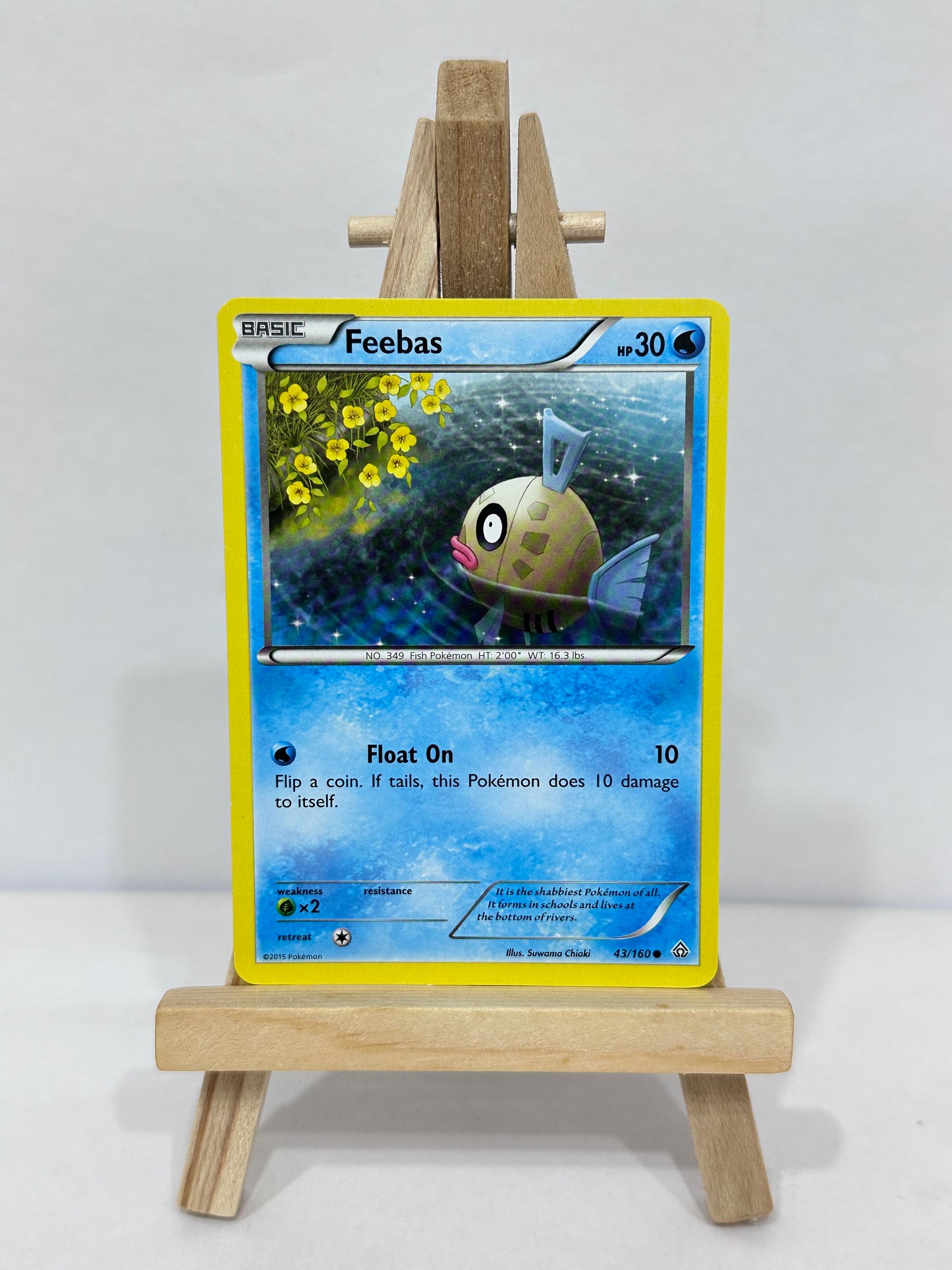 Feebas (Primal Clash)