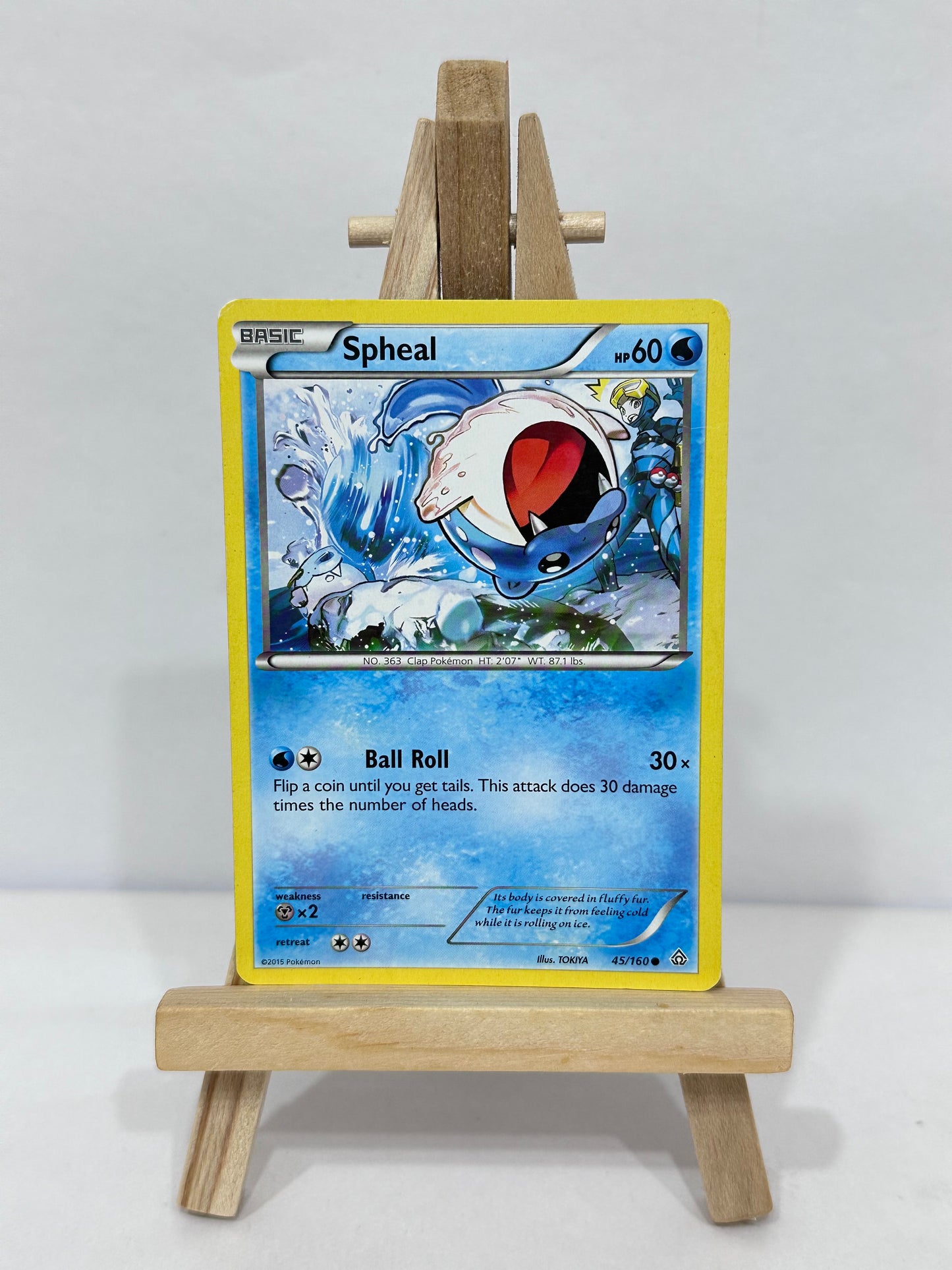 Spheal (Primal Clash)