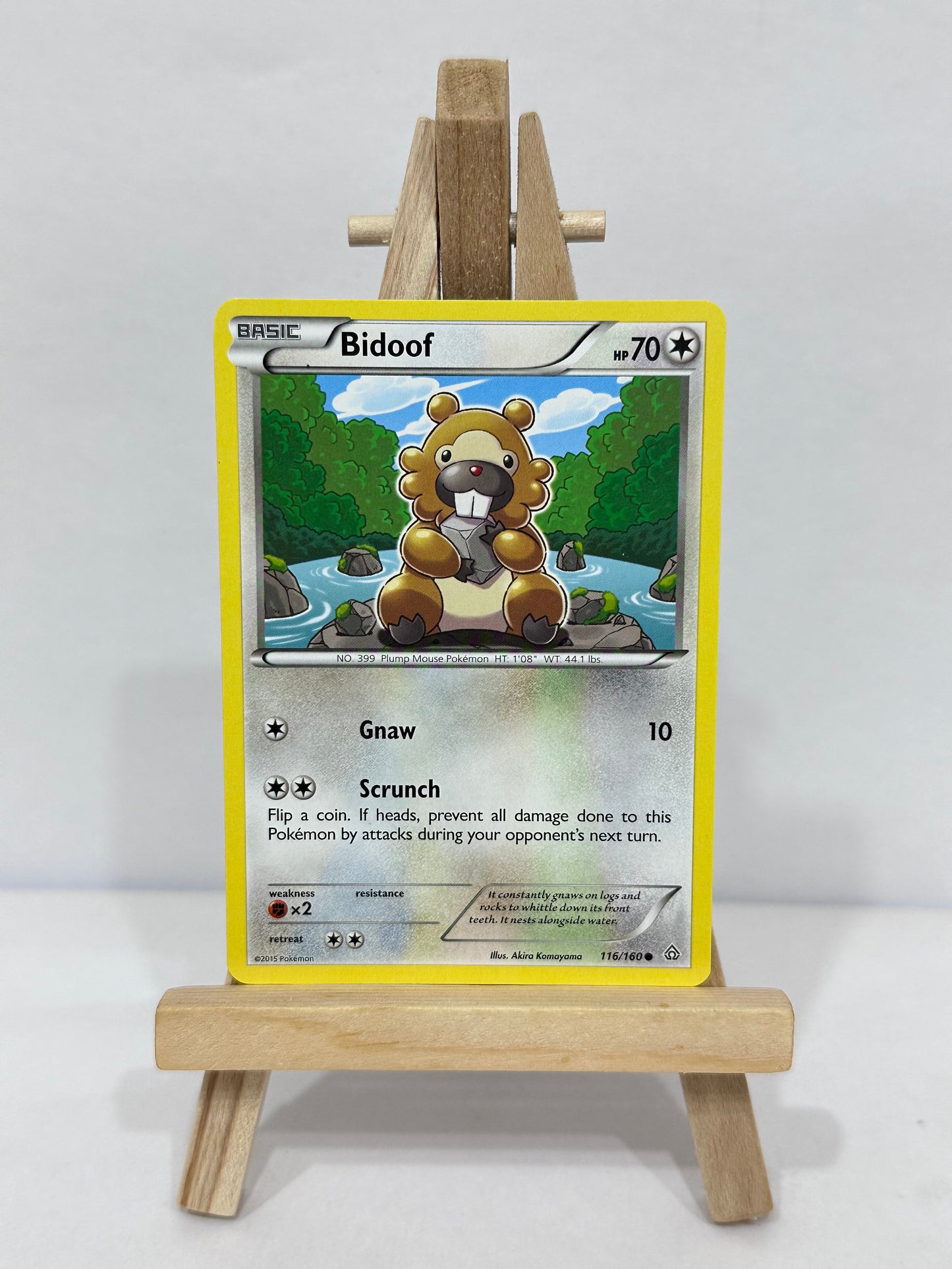 Bidoof (Primal Clash)