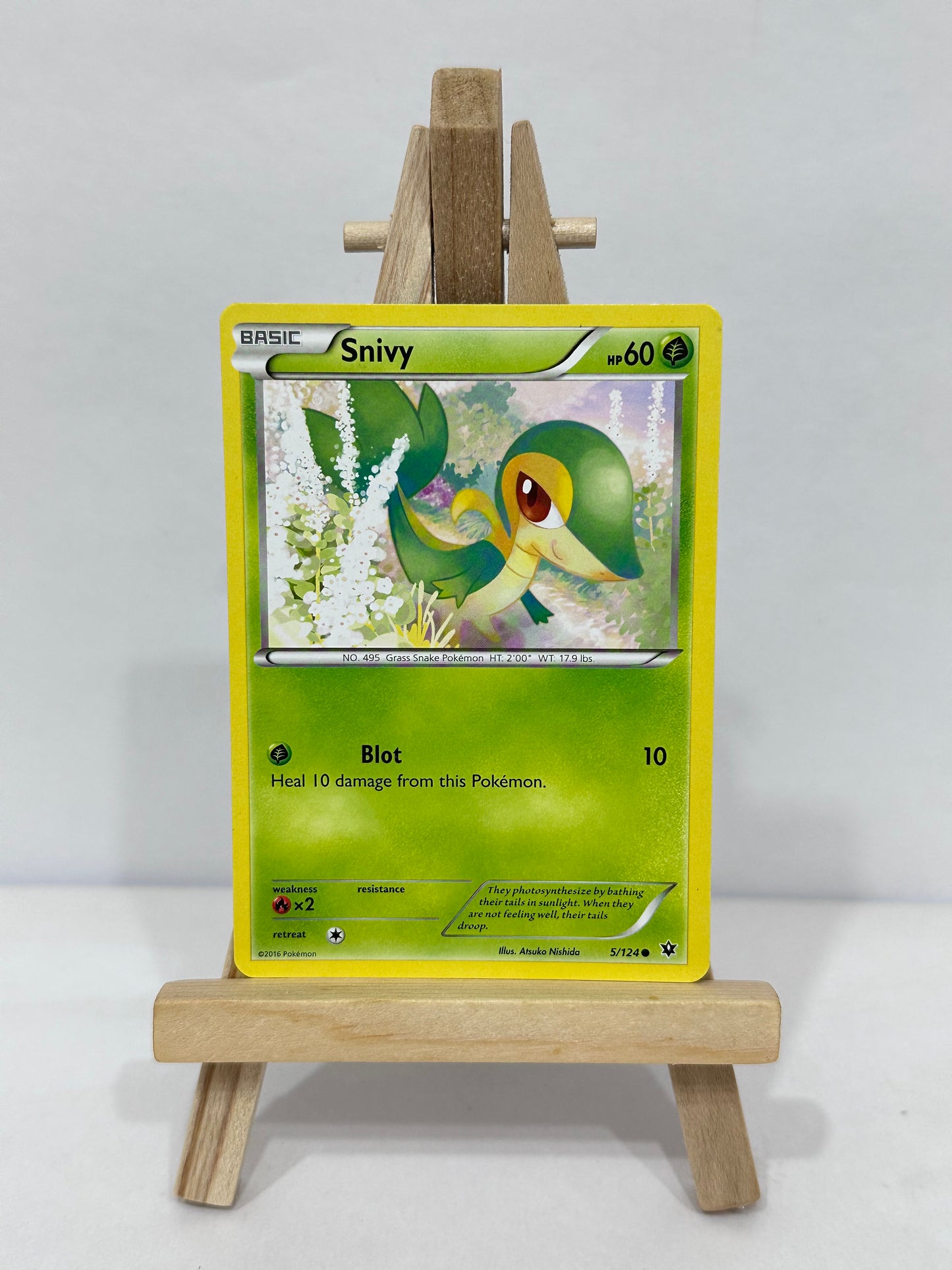 Snivy (Fates Collide)
