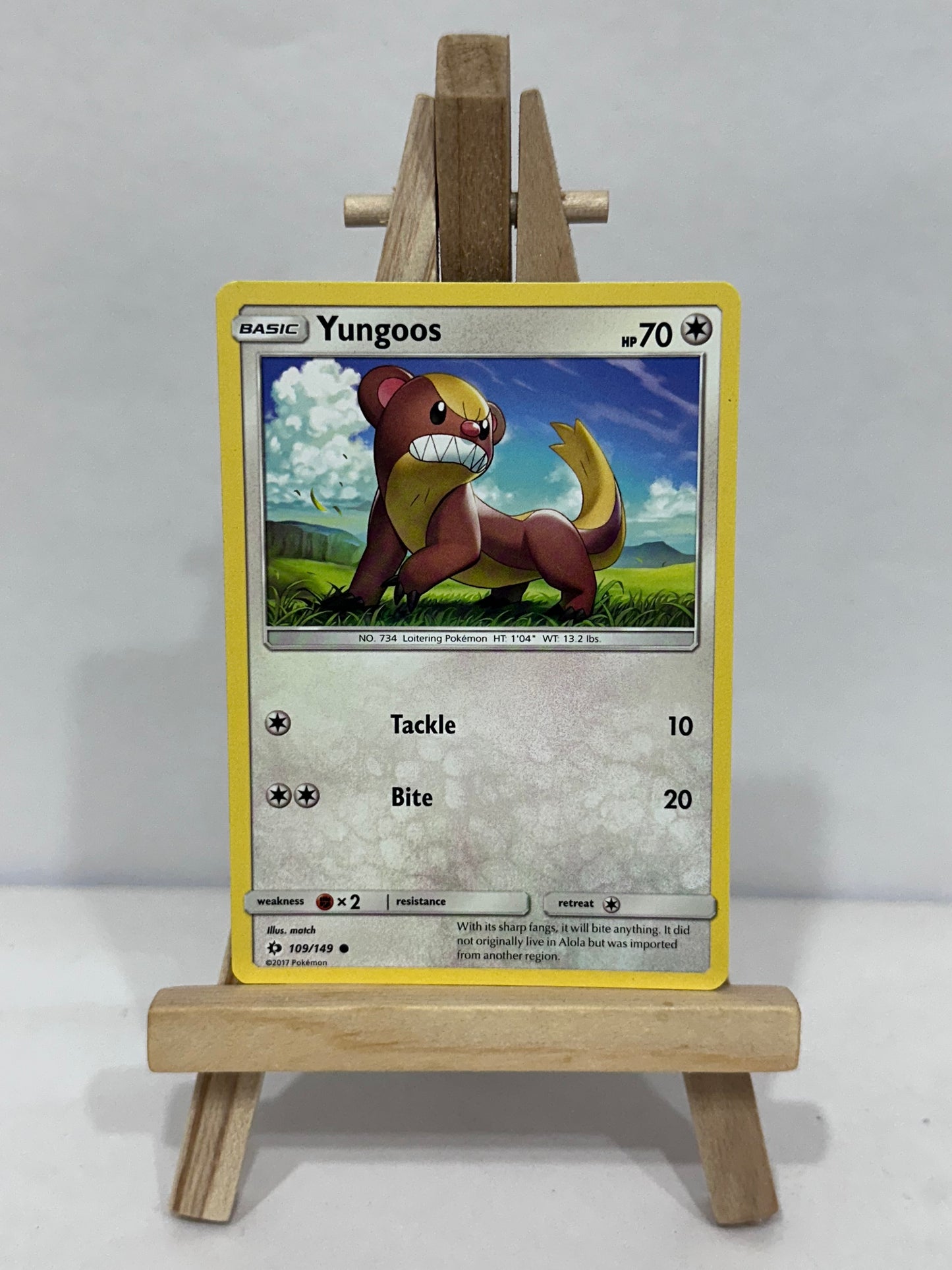 Yungoos