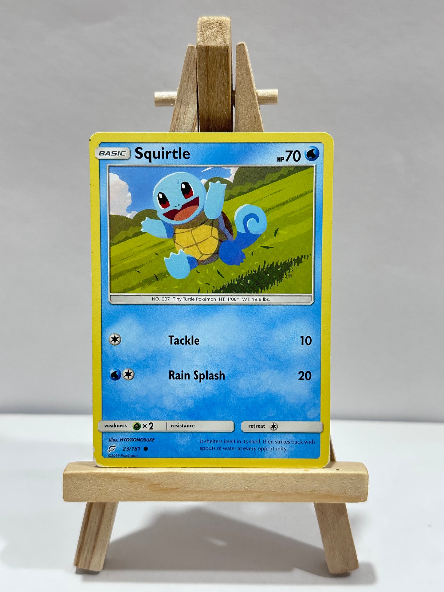 Squirtle (Team Up)