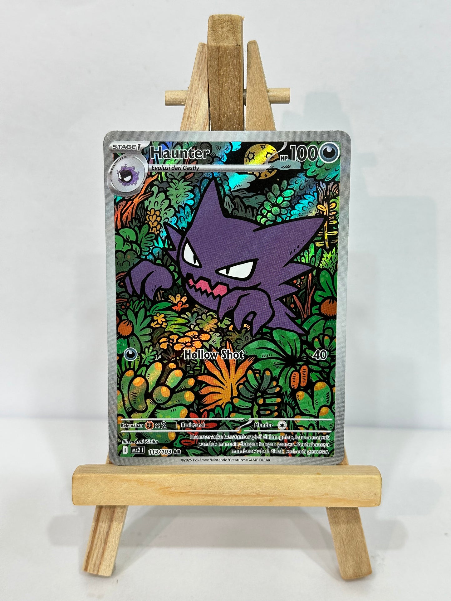Haunter (Indonesian)