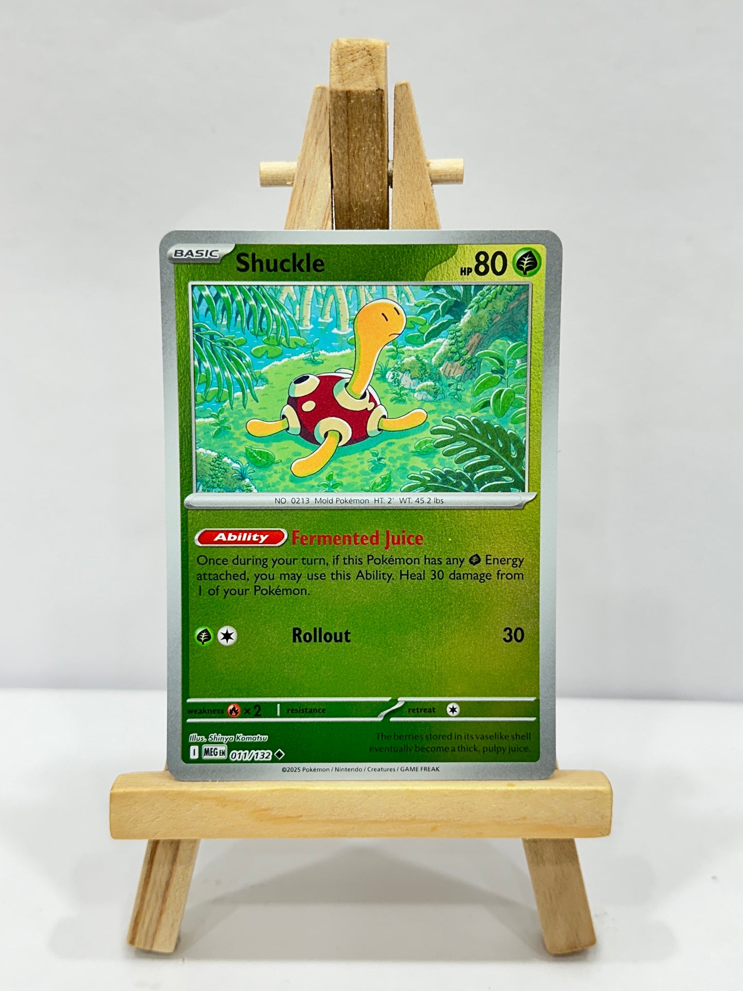 Shuckle (Mega Evolution)