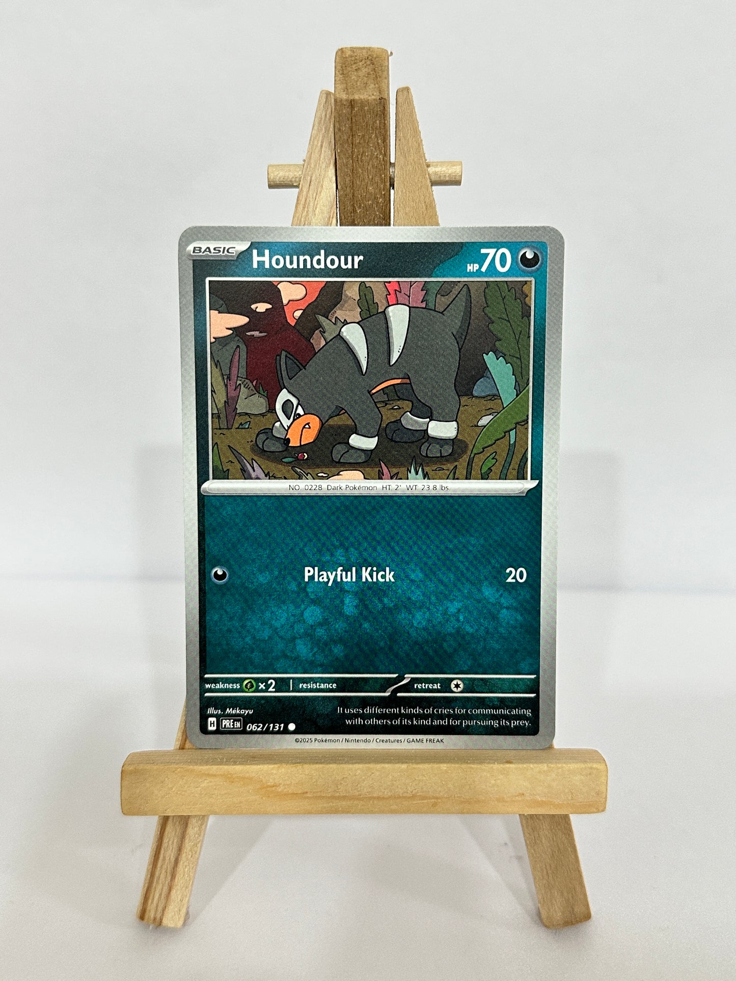 Houndour