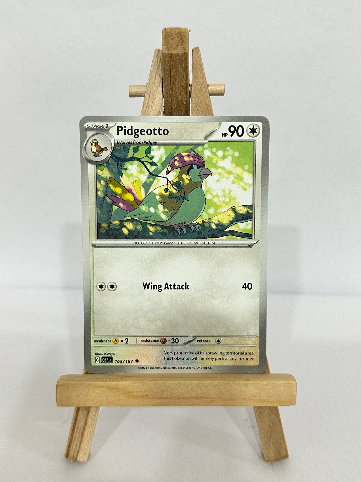 Pidgeotto