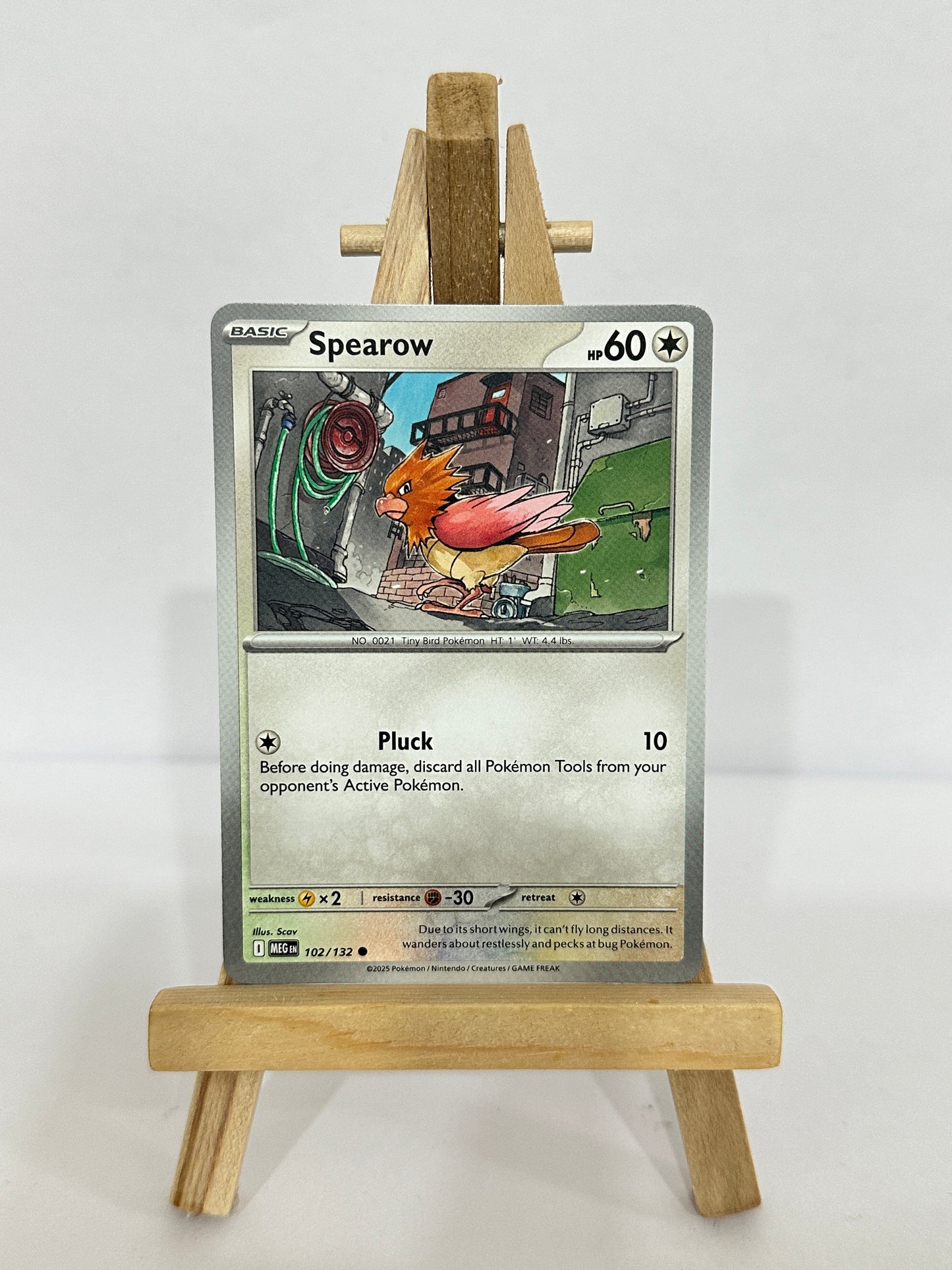 Spearow 102