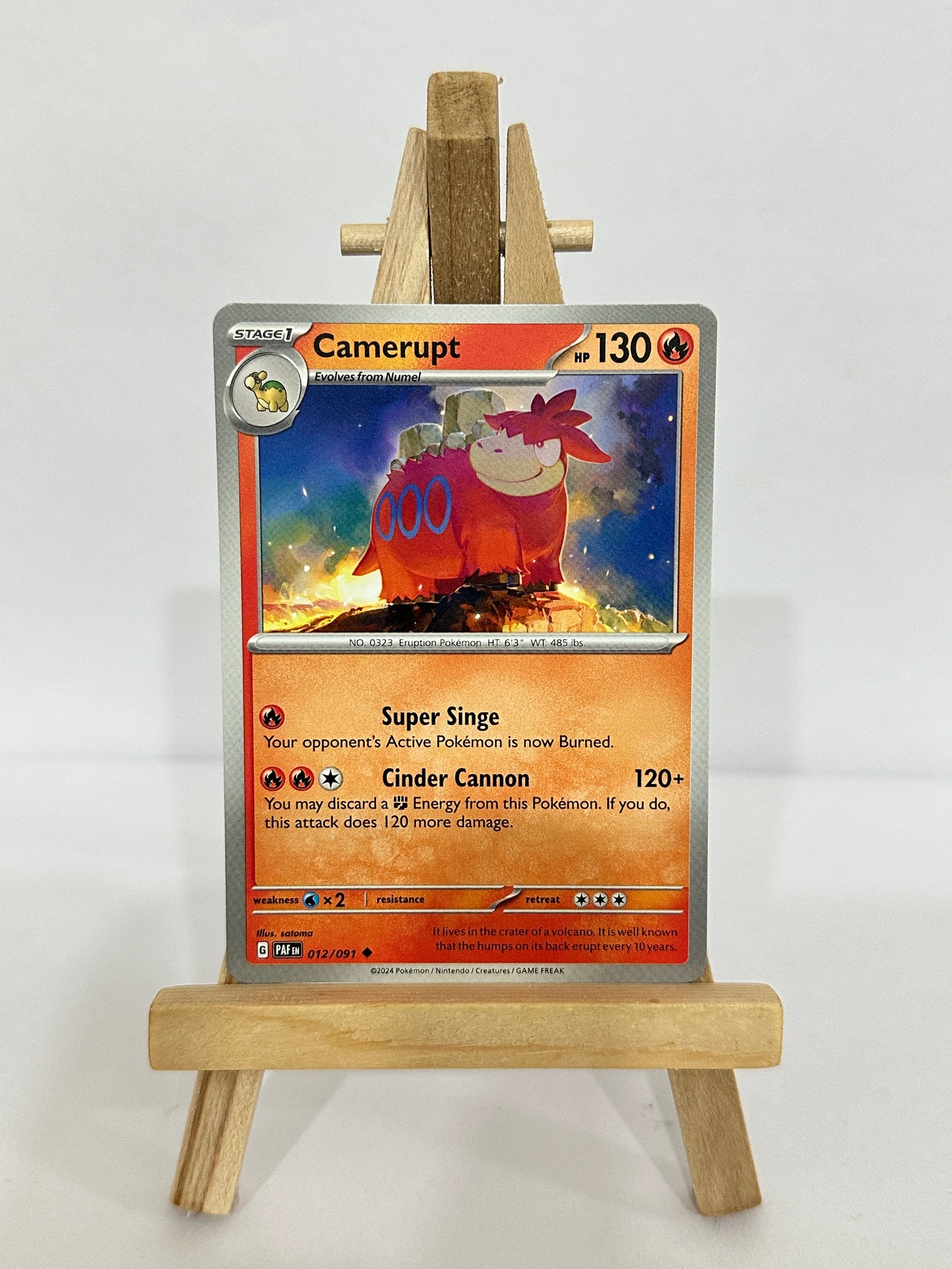 Camerupt 012