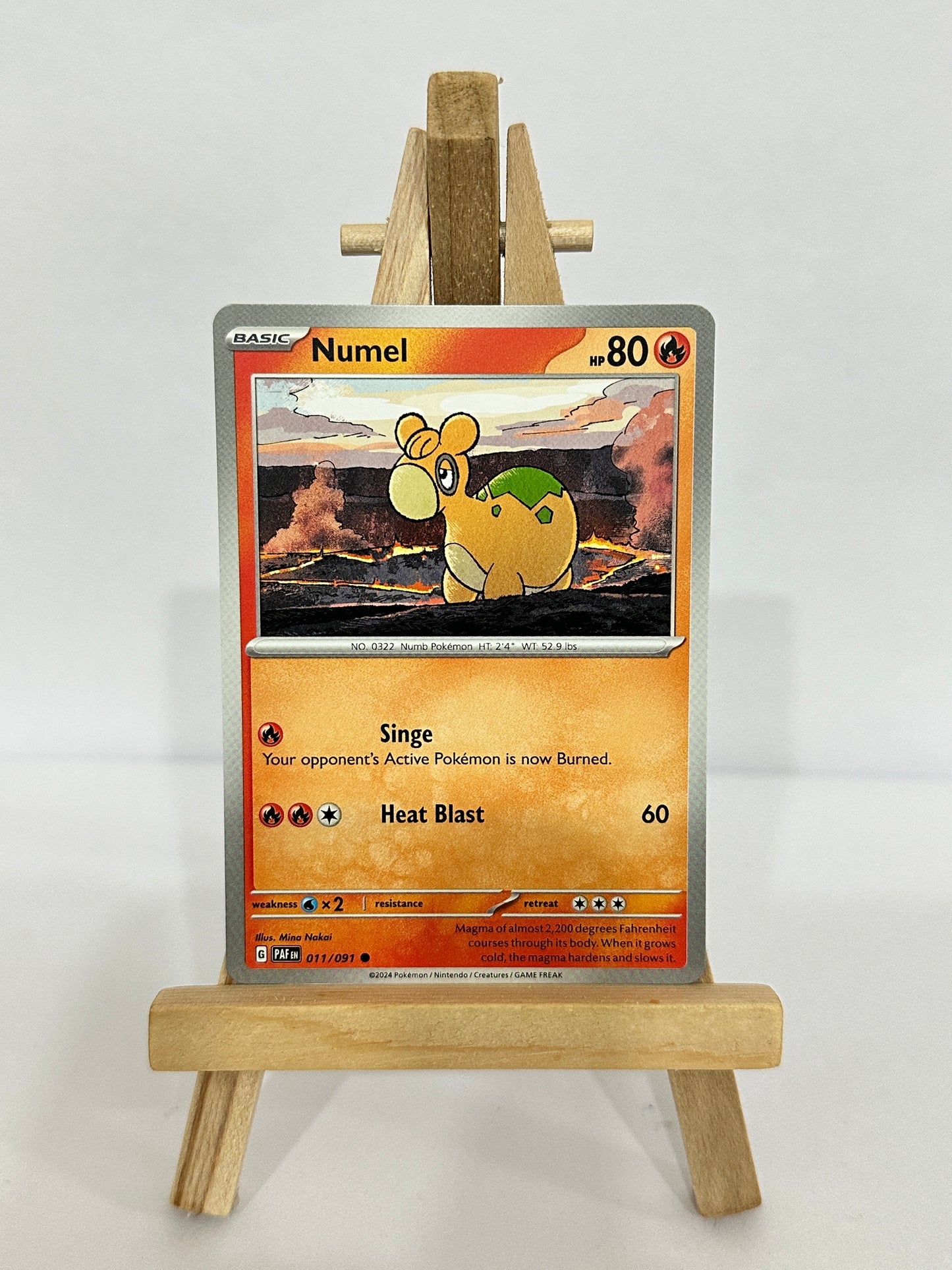 Numel 011