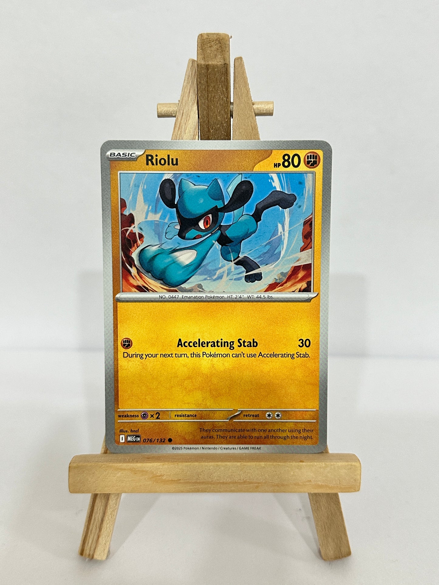 Riolu 076