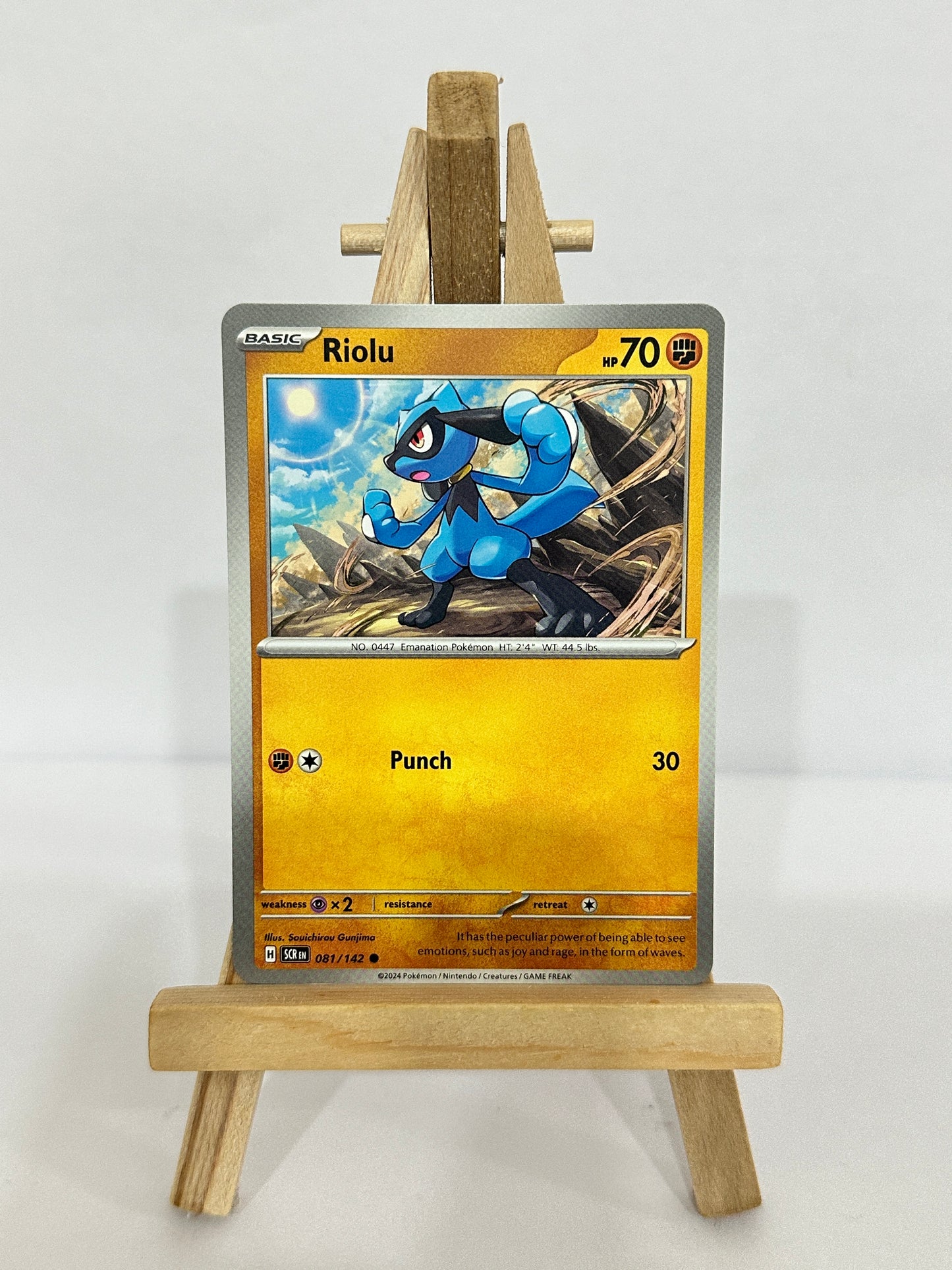 Riolu 081