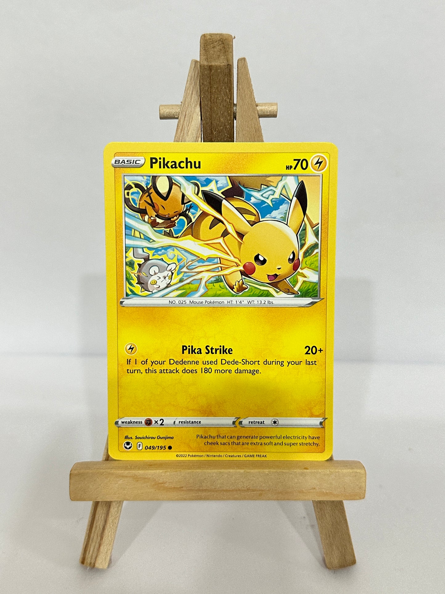 Pikachu 049