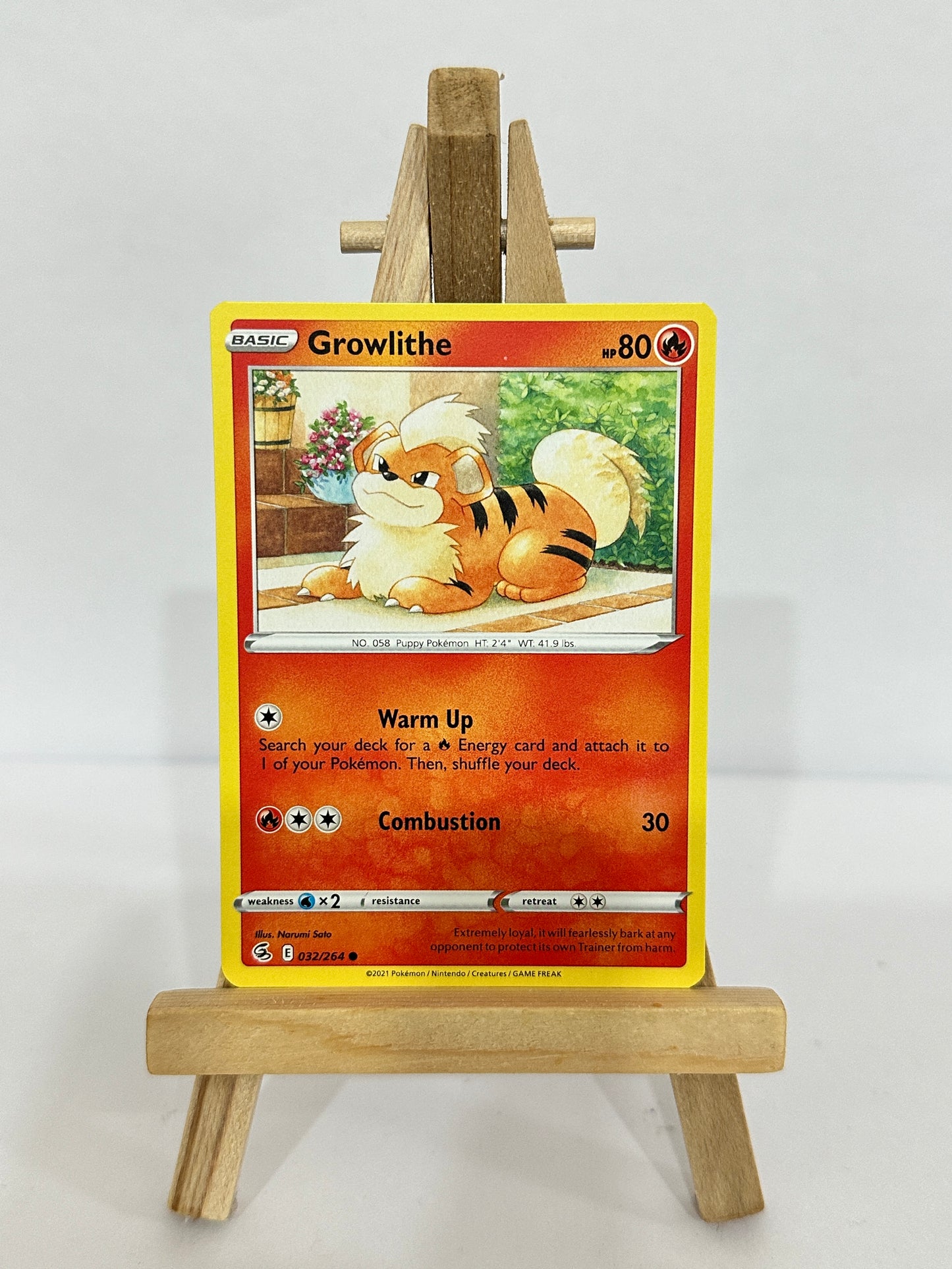 Growlithe 032