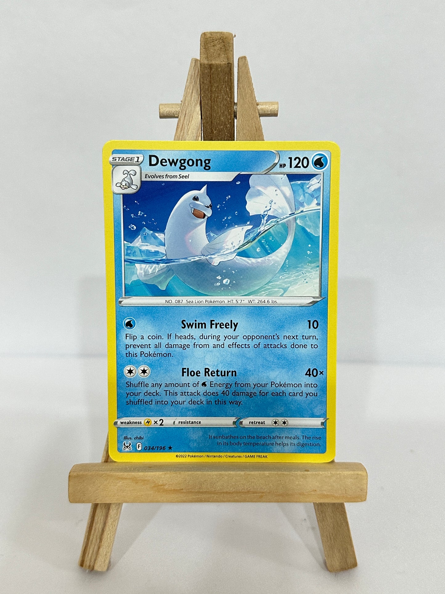 Dewgong 034