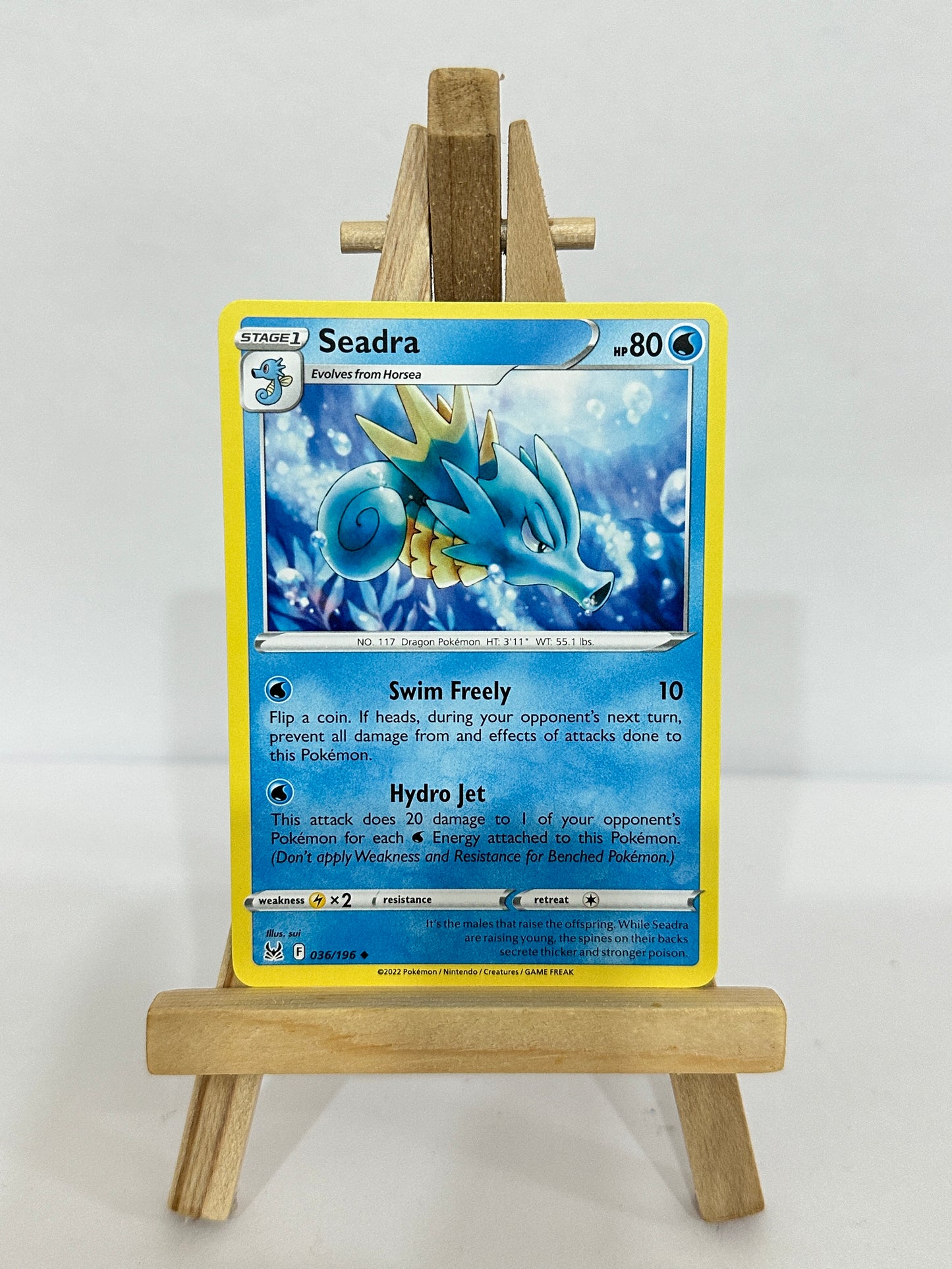 Seadra 036