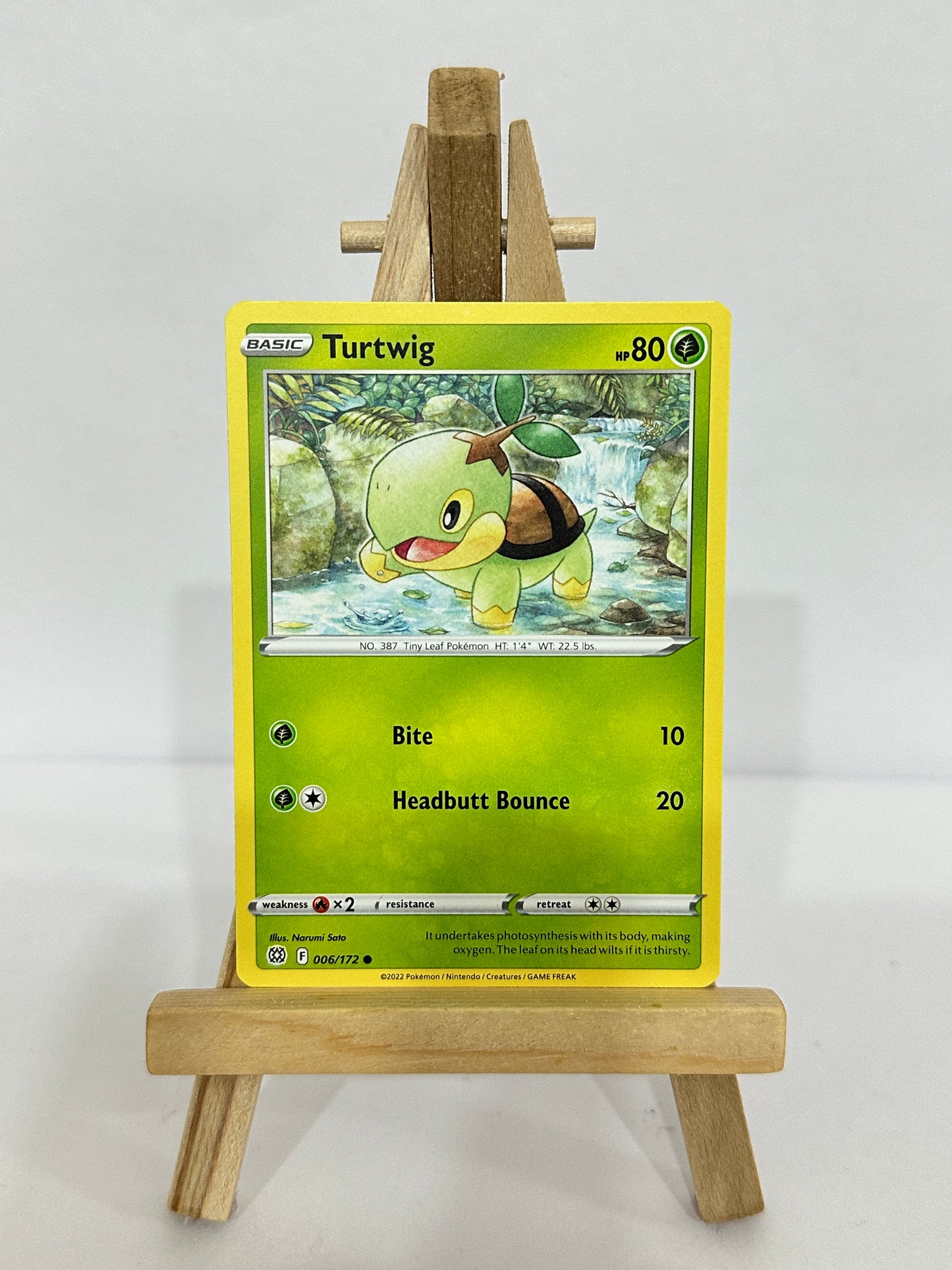 Turtwig