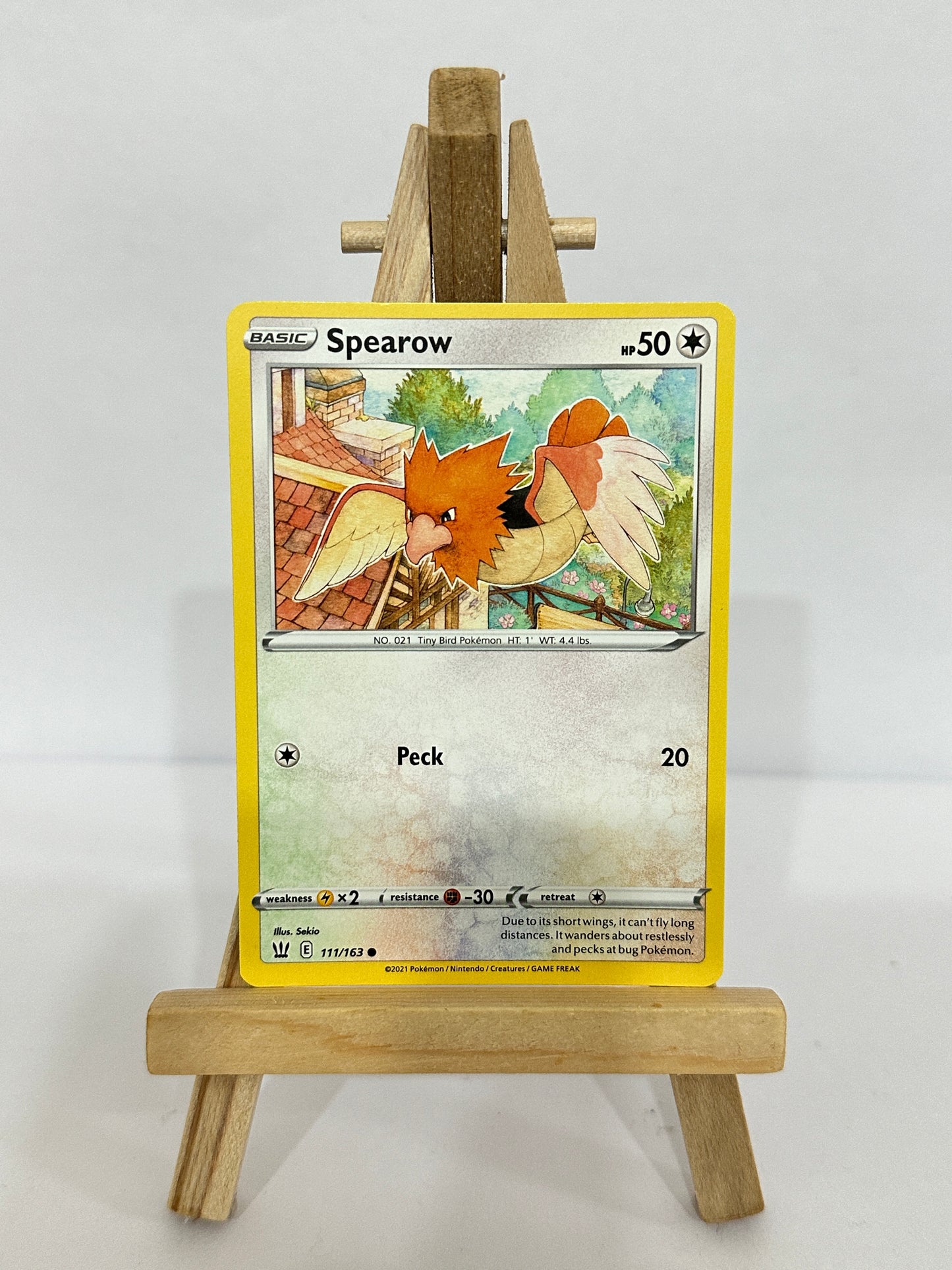 Spearow