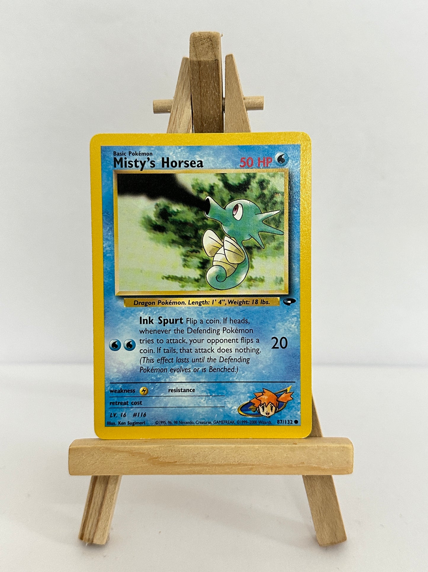 Misty’s Horsea (Gym Challenge)