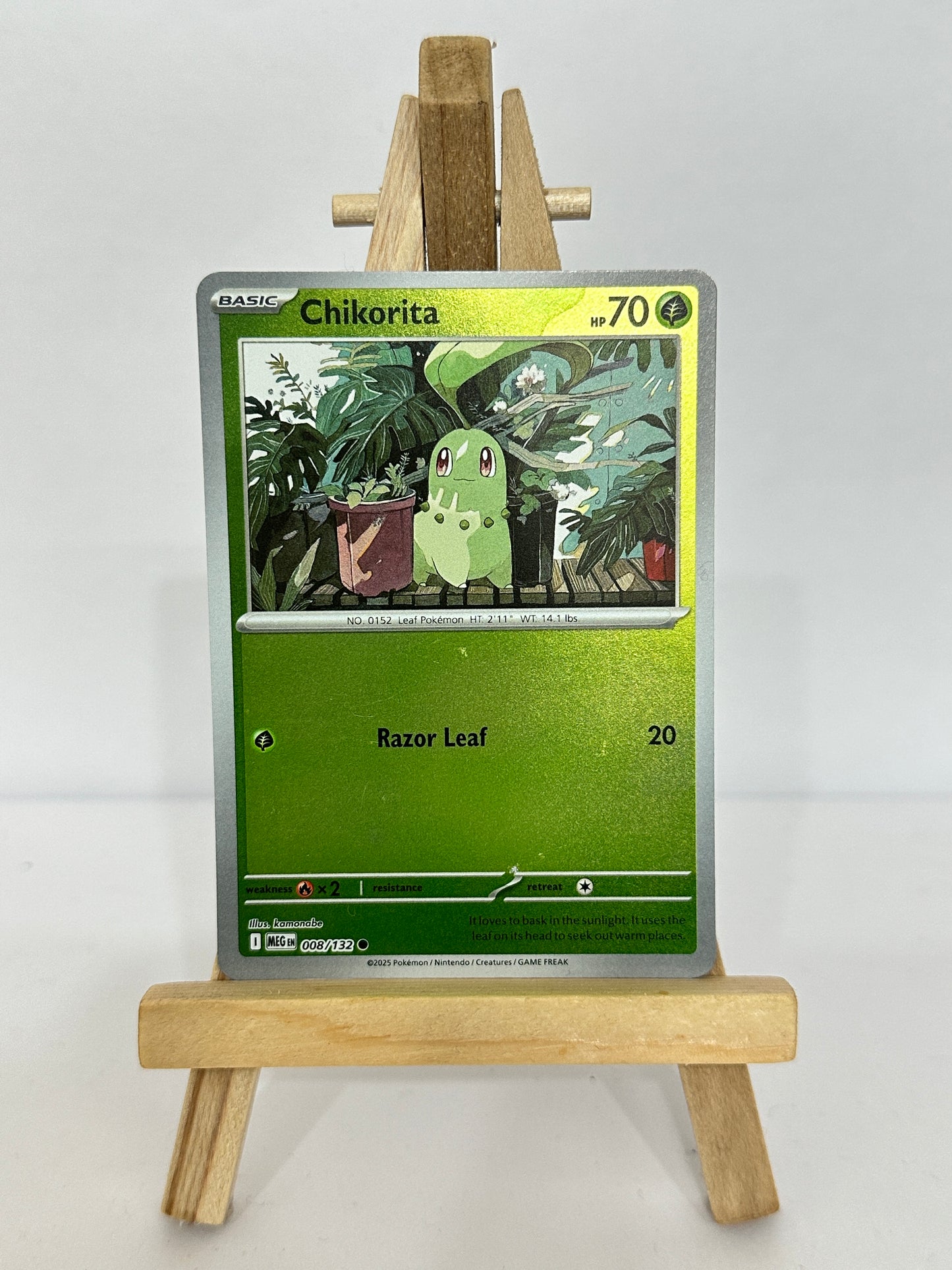 Chikorita (Mega Evolution)