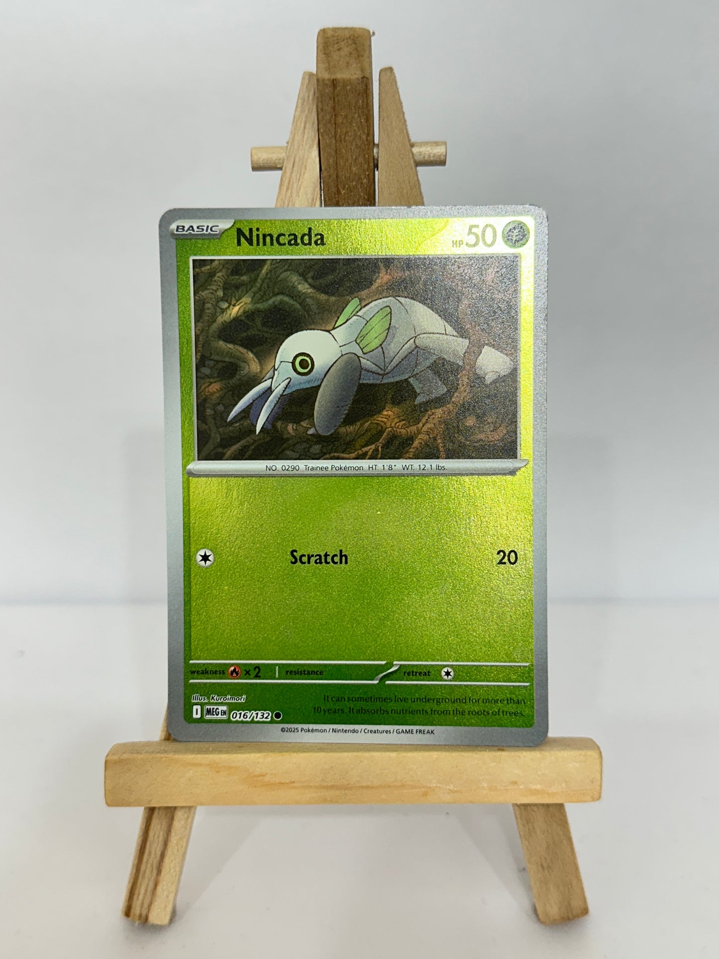 Nincada (Mega Evolution)
