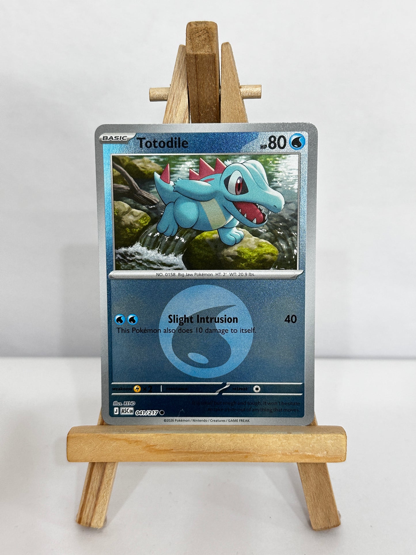 Totodile (ME Ascended Heroes) Energy Symbol Pattern Reverse Holo