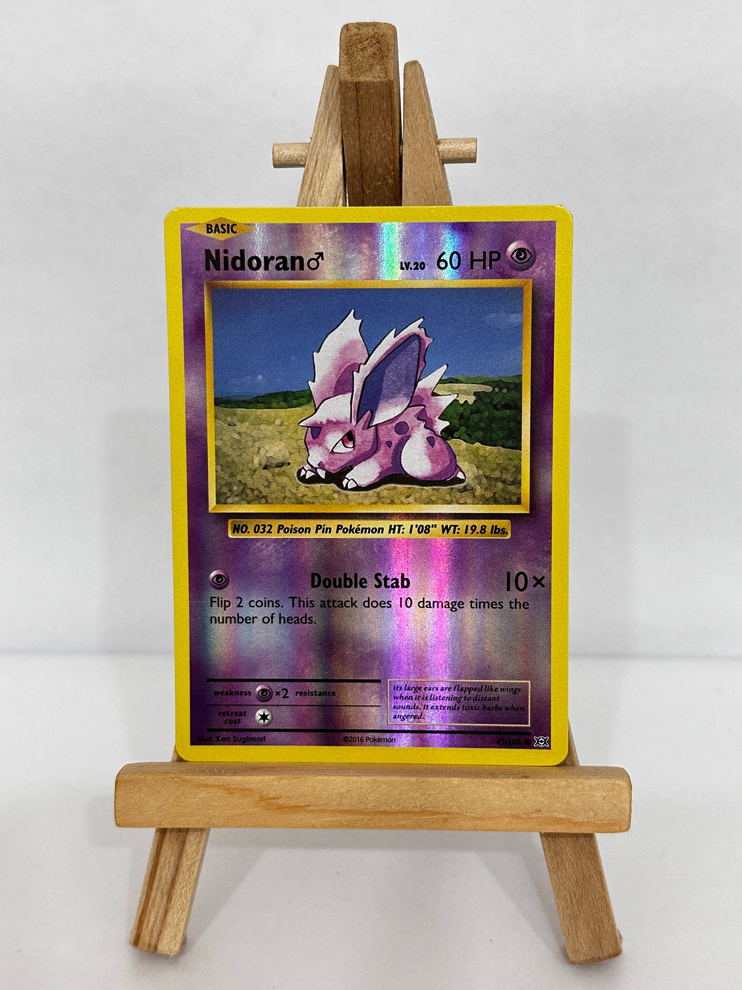 Nidoran (XY Evolutions) Reverse Holo
