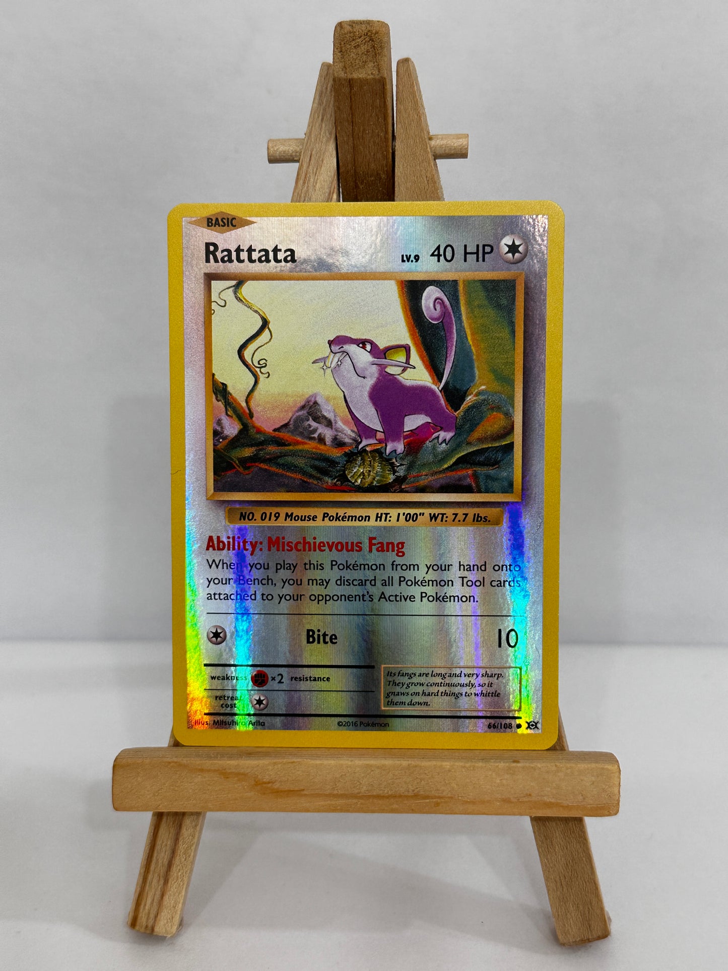Rattata (XY Evolutions) Reverse Holo