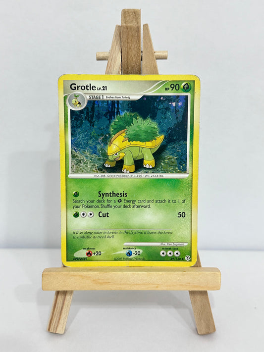 Grotle Lv 21