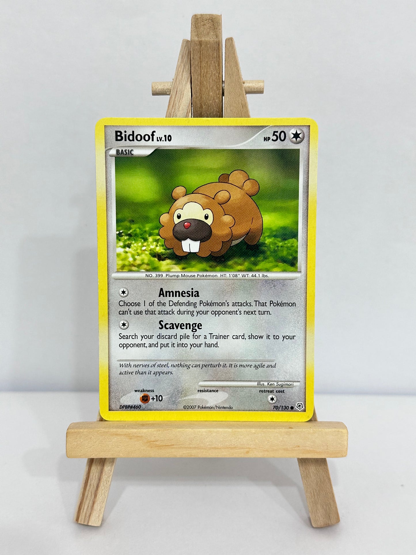 Bidoof Lv 10