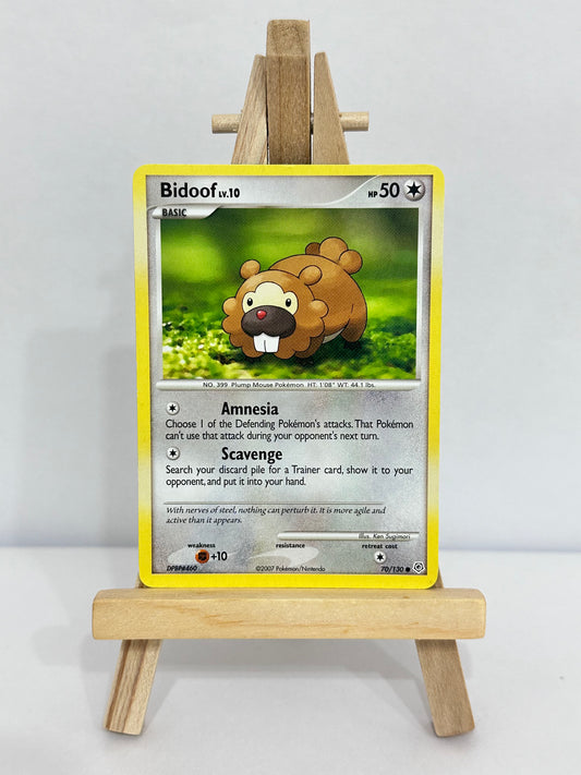 Bidoof Lv 10