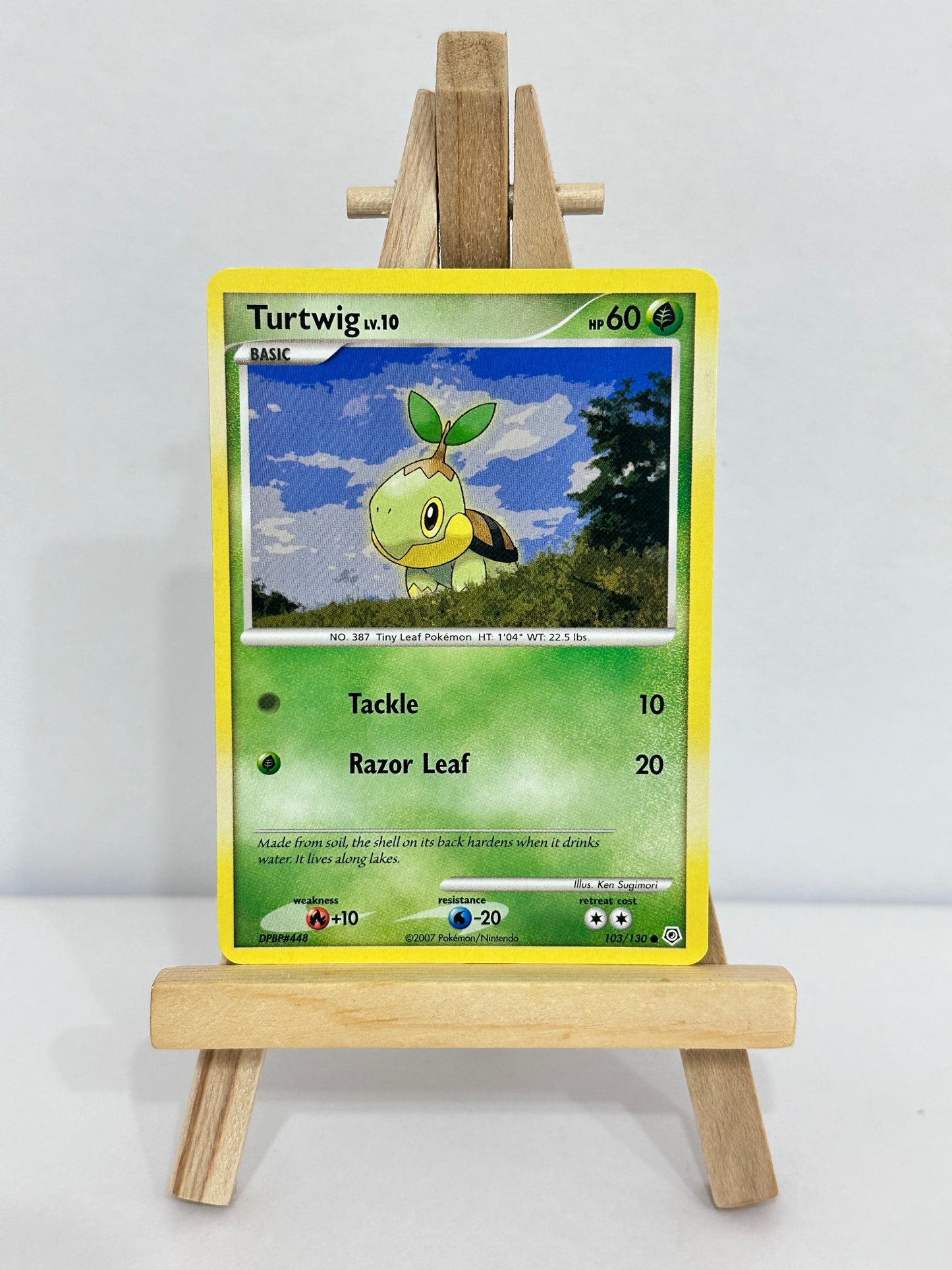 Turtwig Lv 10