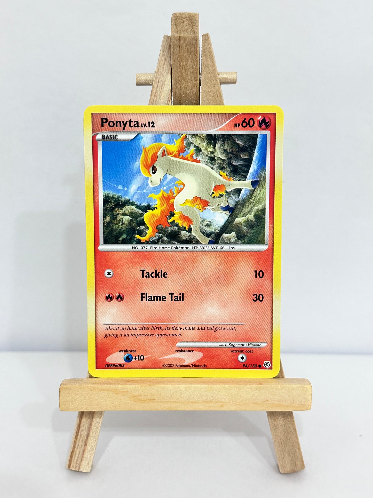 Ponyta Lv 12