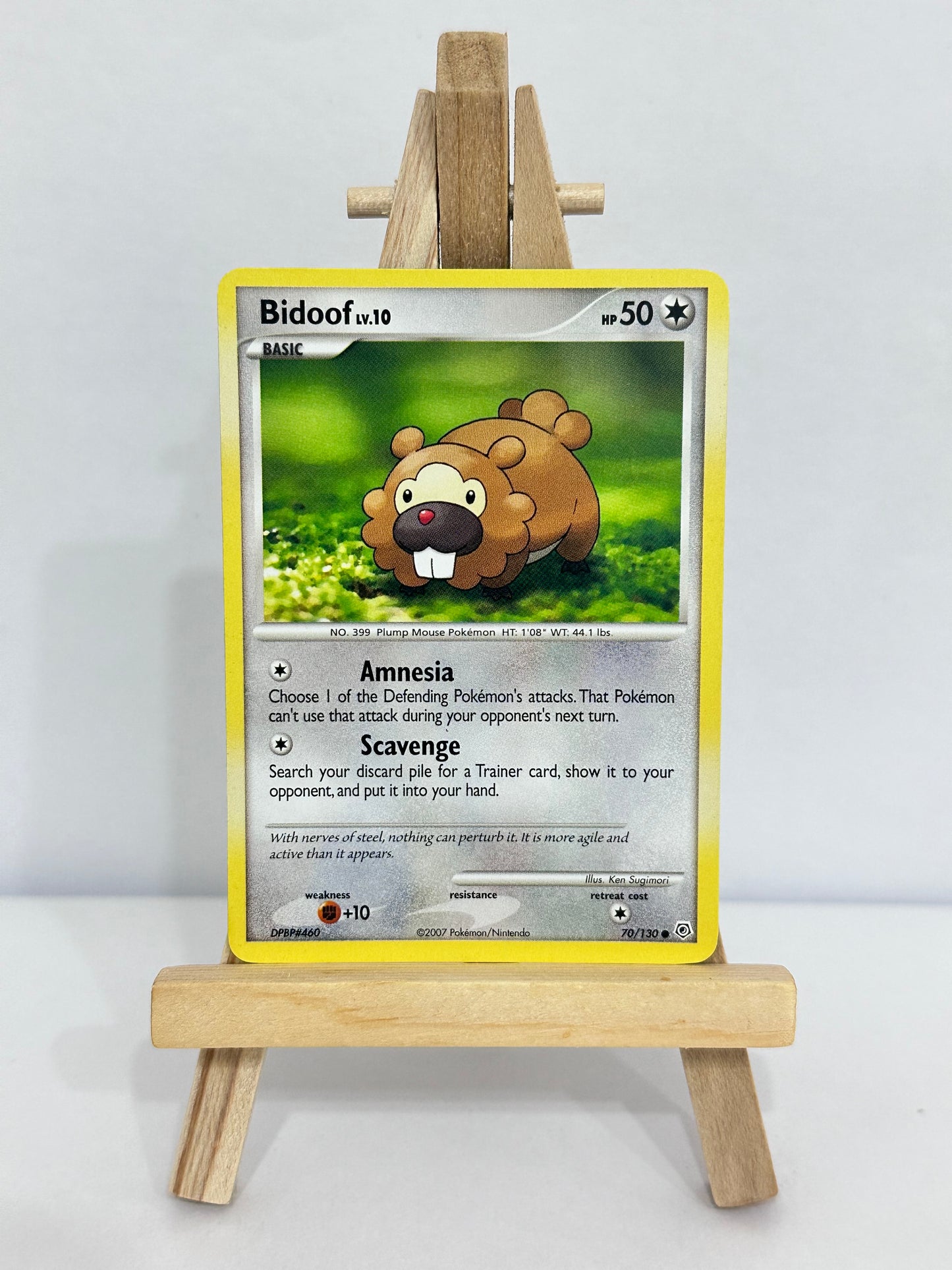 Bidoof Lv 10