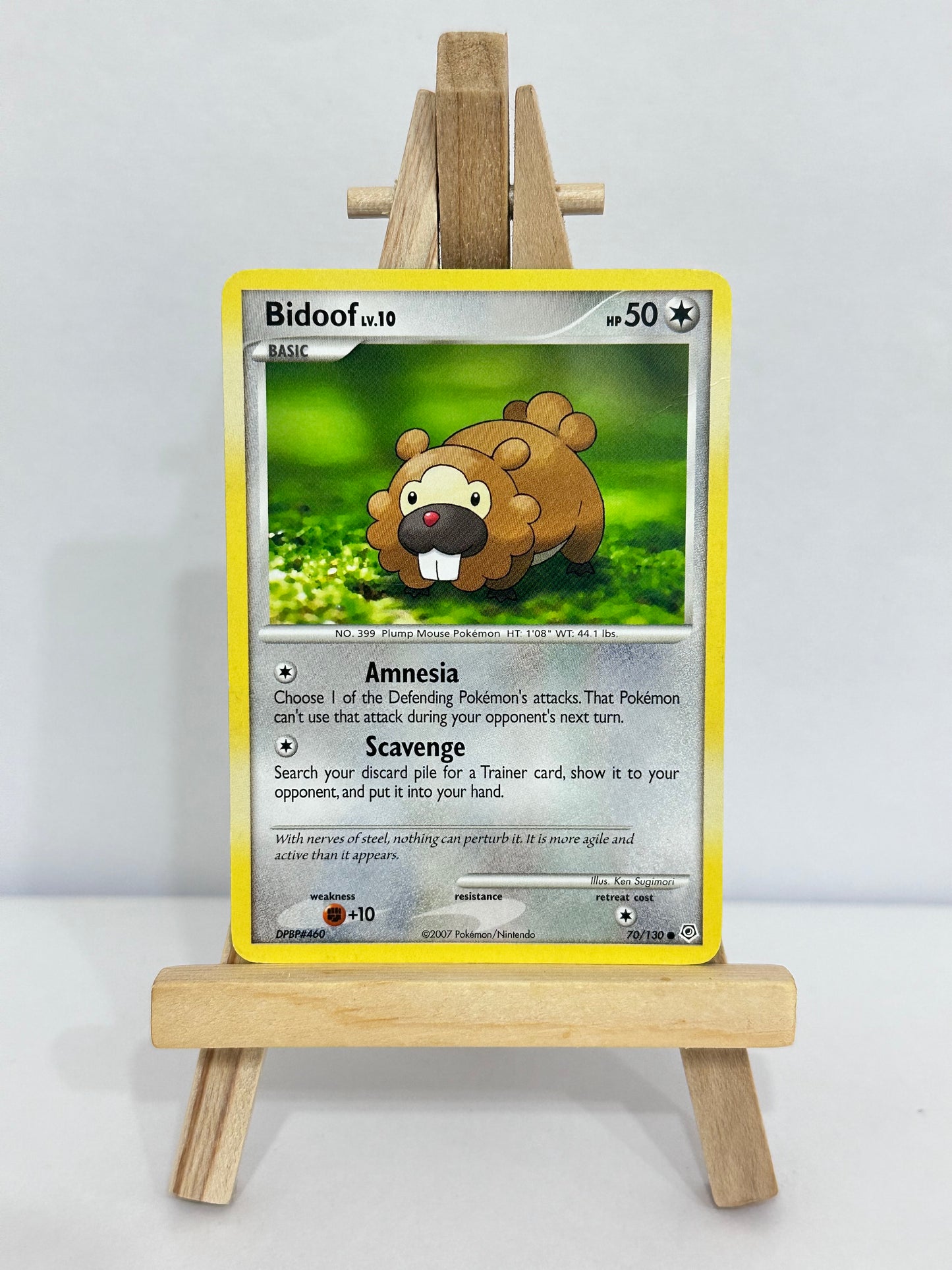 Bidoof Lv 10