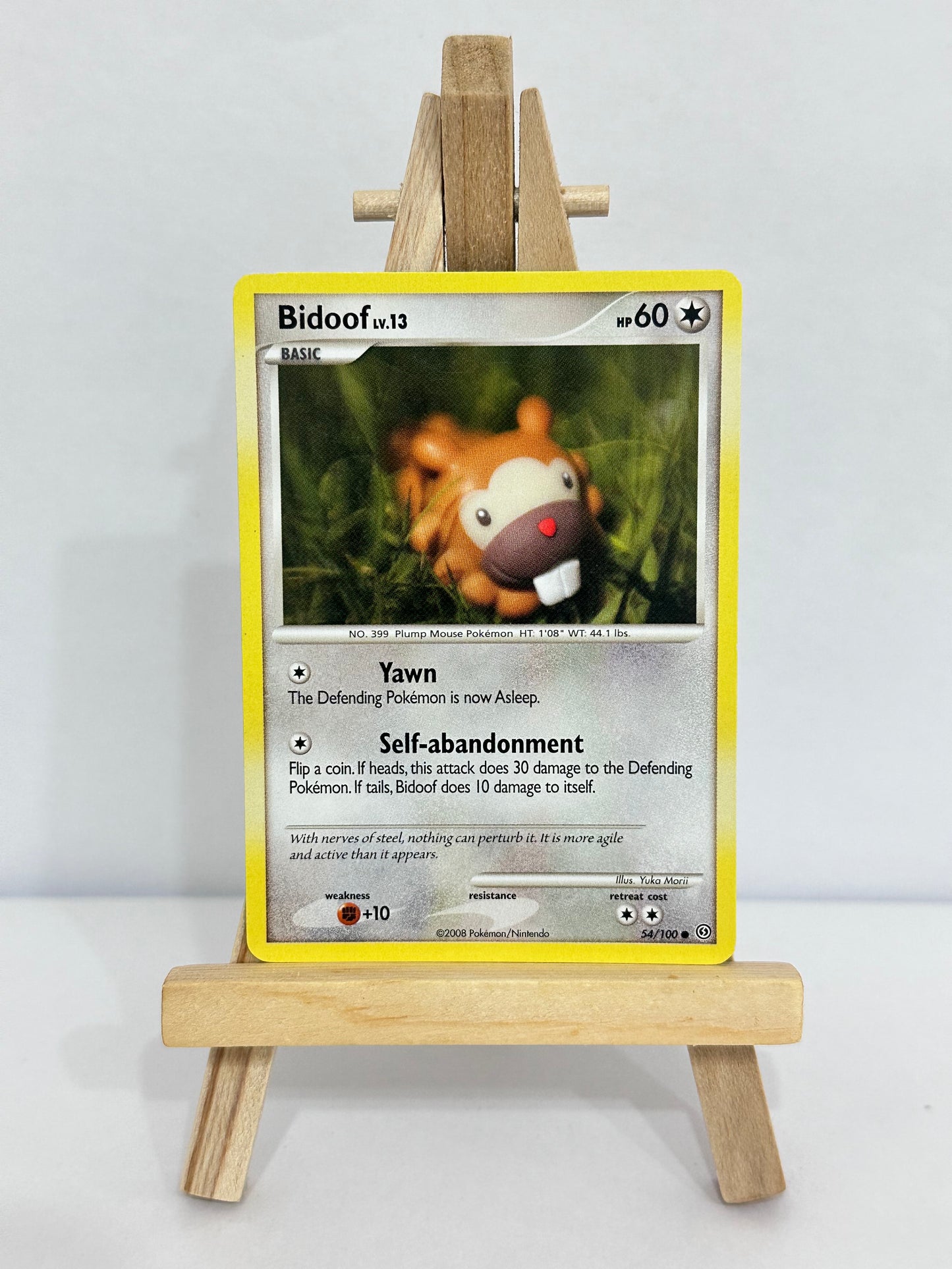 Bidoof Lv 13