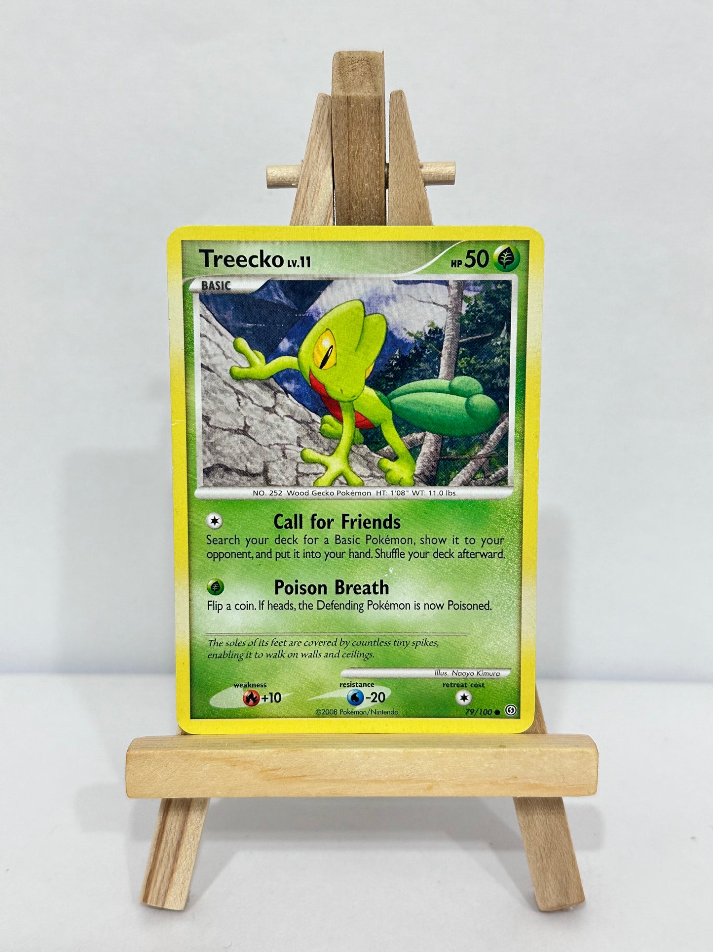 Treecko Lv 11 (Stormfront)
