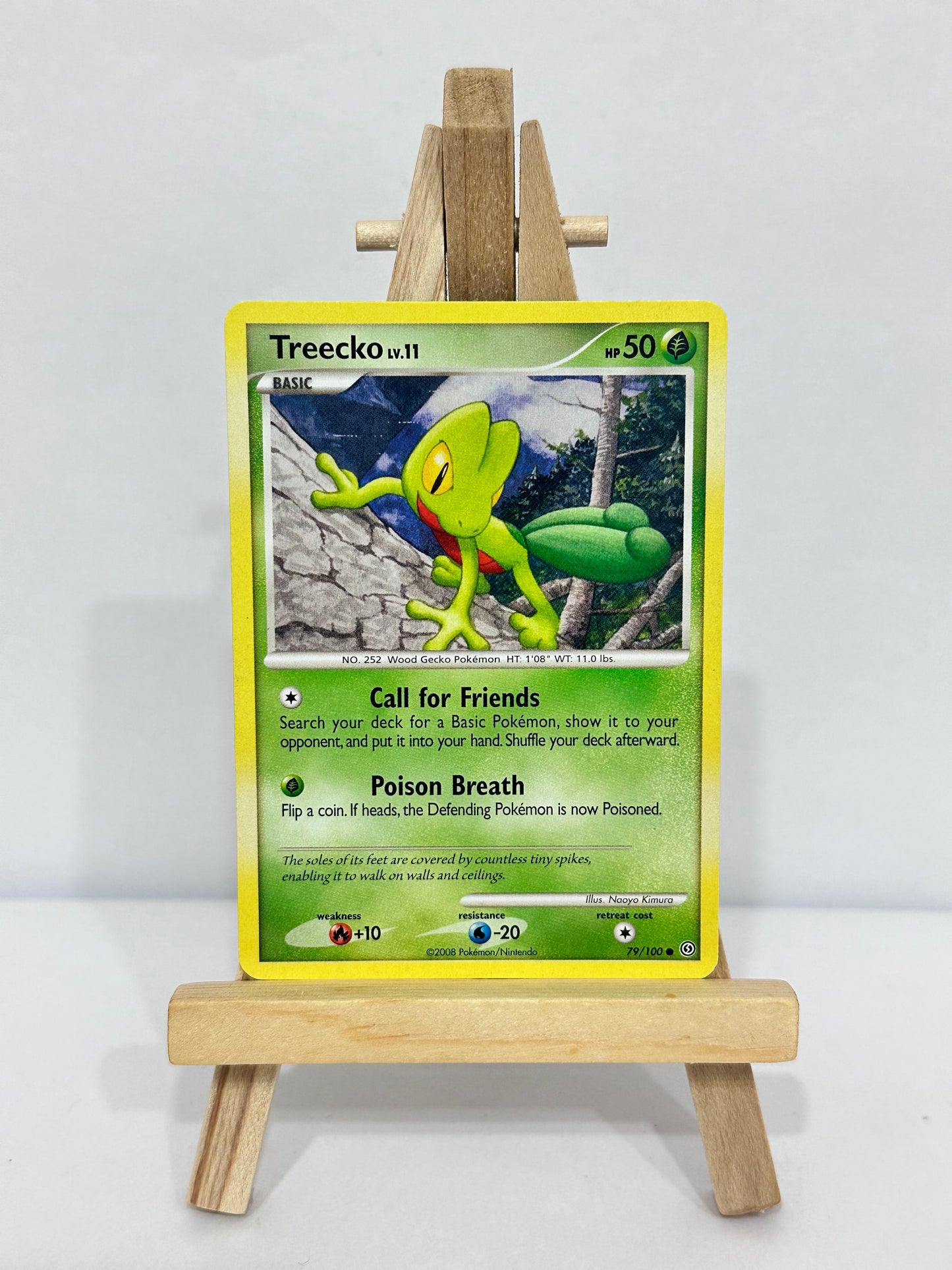 Treecko Lv 11 (Stormfront)
