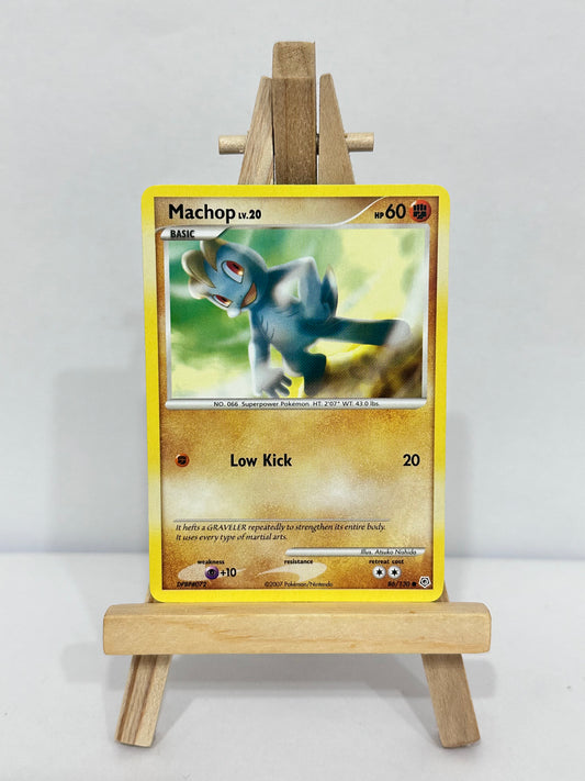 Machop Lv 20